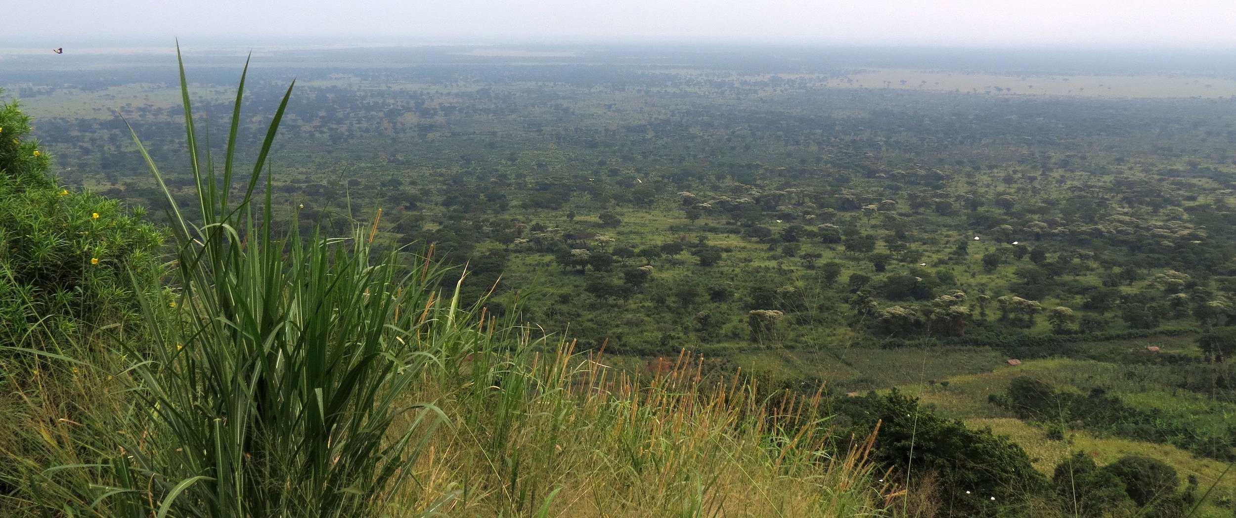 Queen Elizabeth National Park