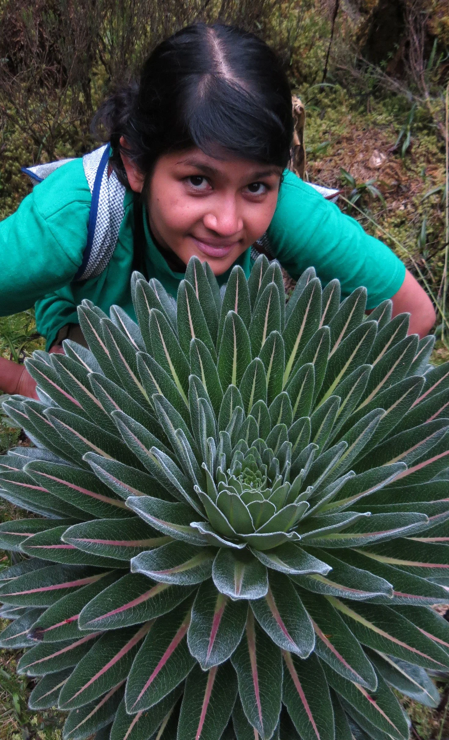 RWENZORI NATIONAL PARK UGANDA (179).JPG