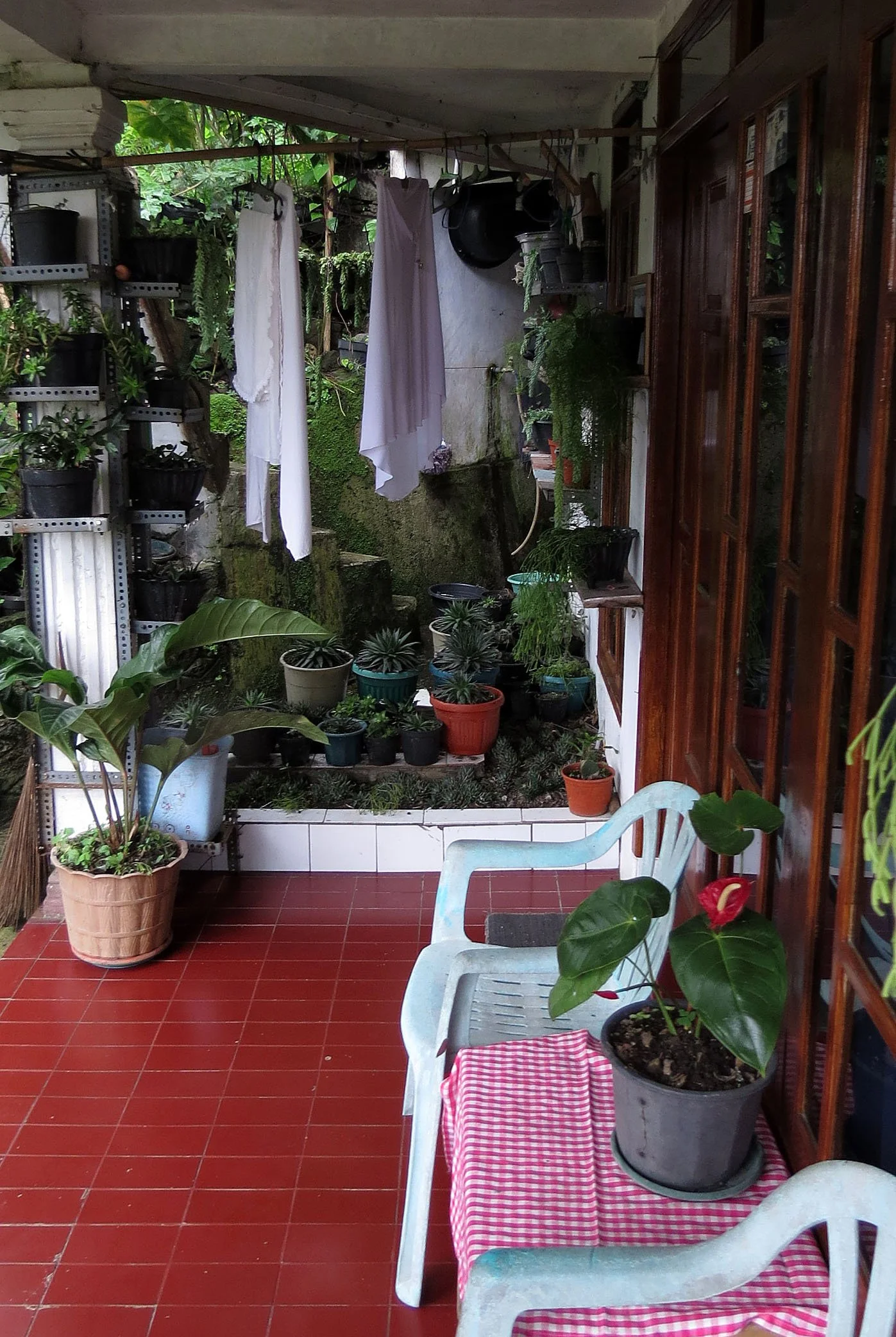 GEDE NATIONAL PARK - JAVA BARAT INDONESIA (29).JPG