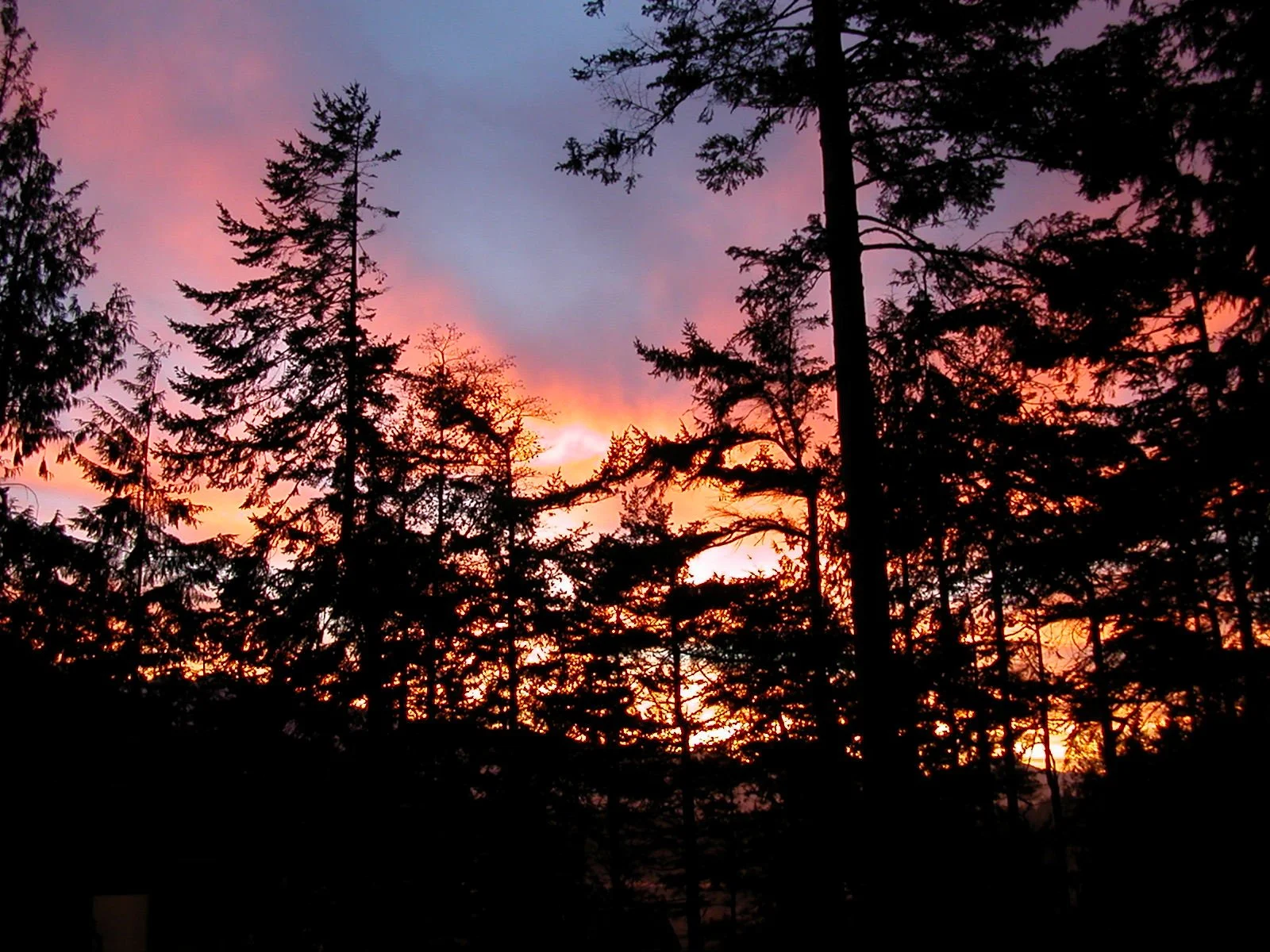 2003-11-28 THANKSGIVING IN LAKE FARM (9).JPG