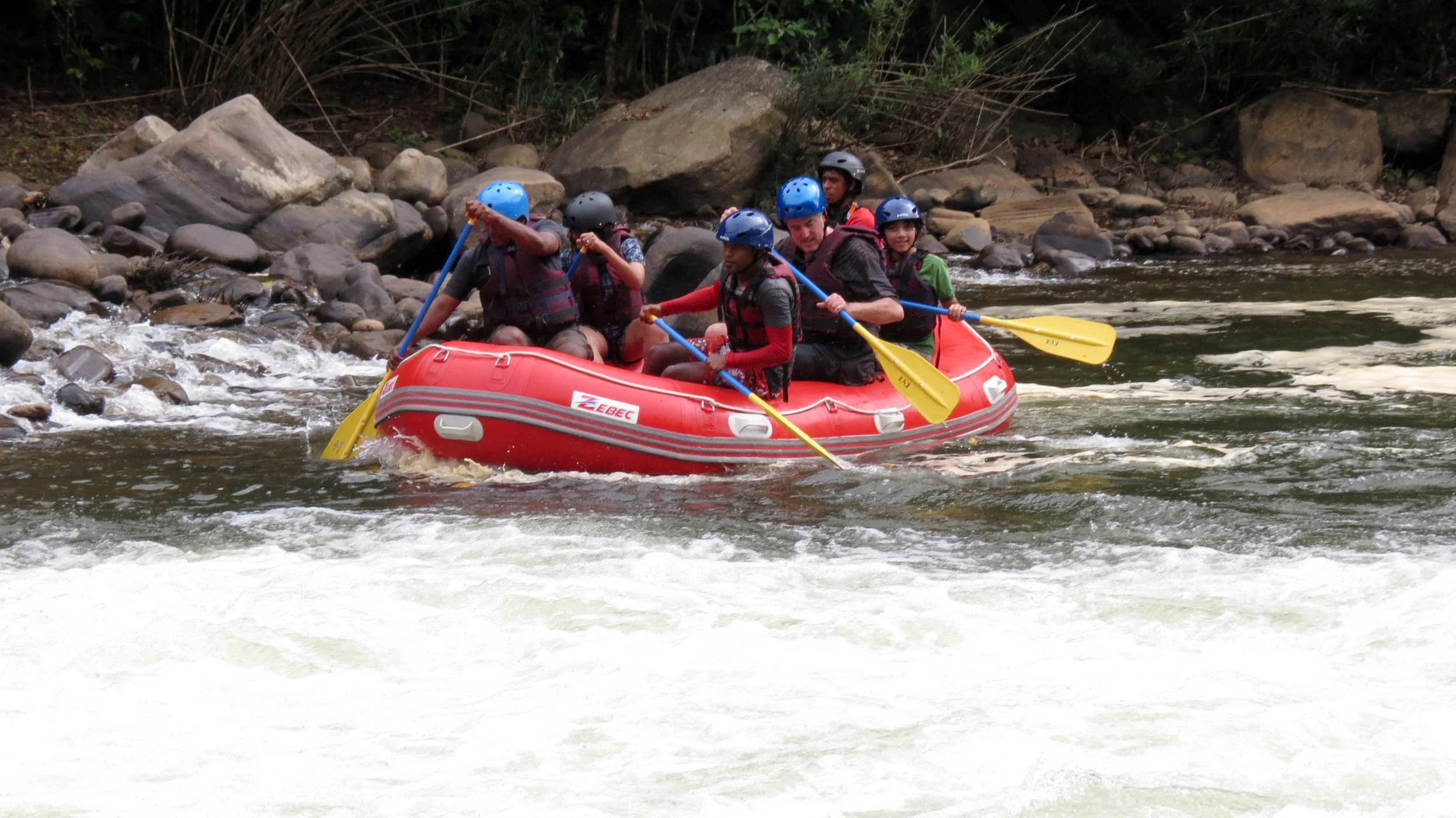 KITULGALA FOREST PRESERVE SRI LANKA (63).JPG