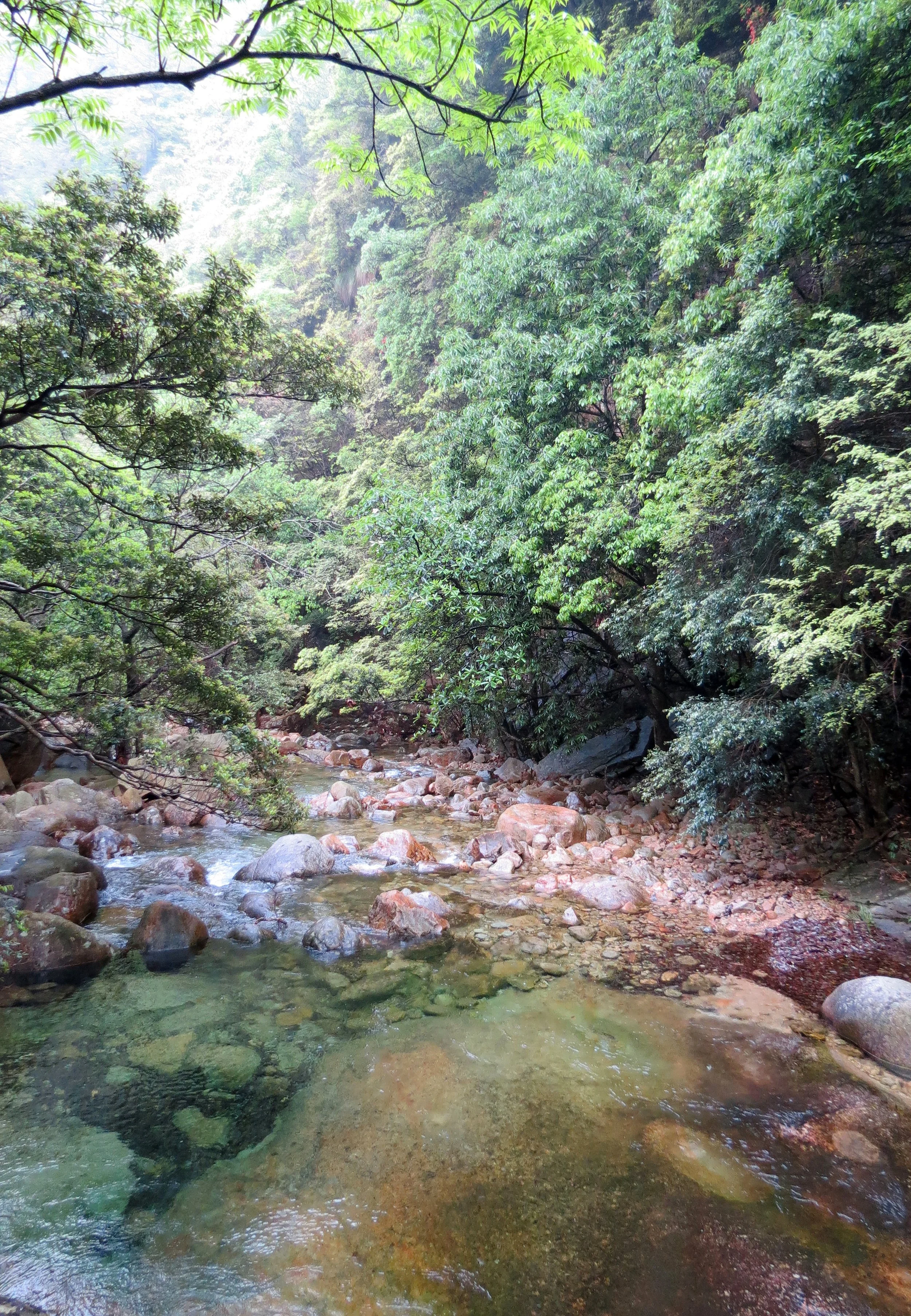 GUNIUJIANG NATURE RESERVE - ANHUI PROVINCE CHINA (75).JPG