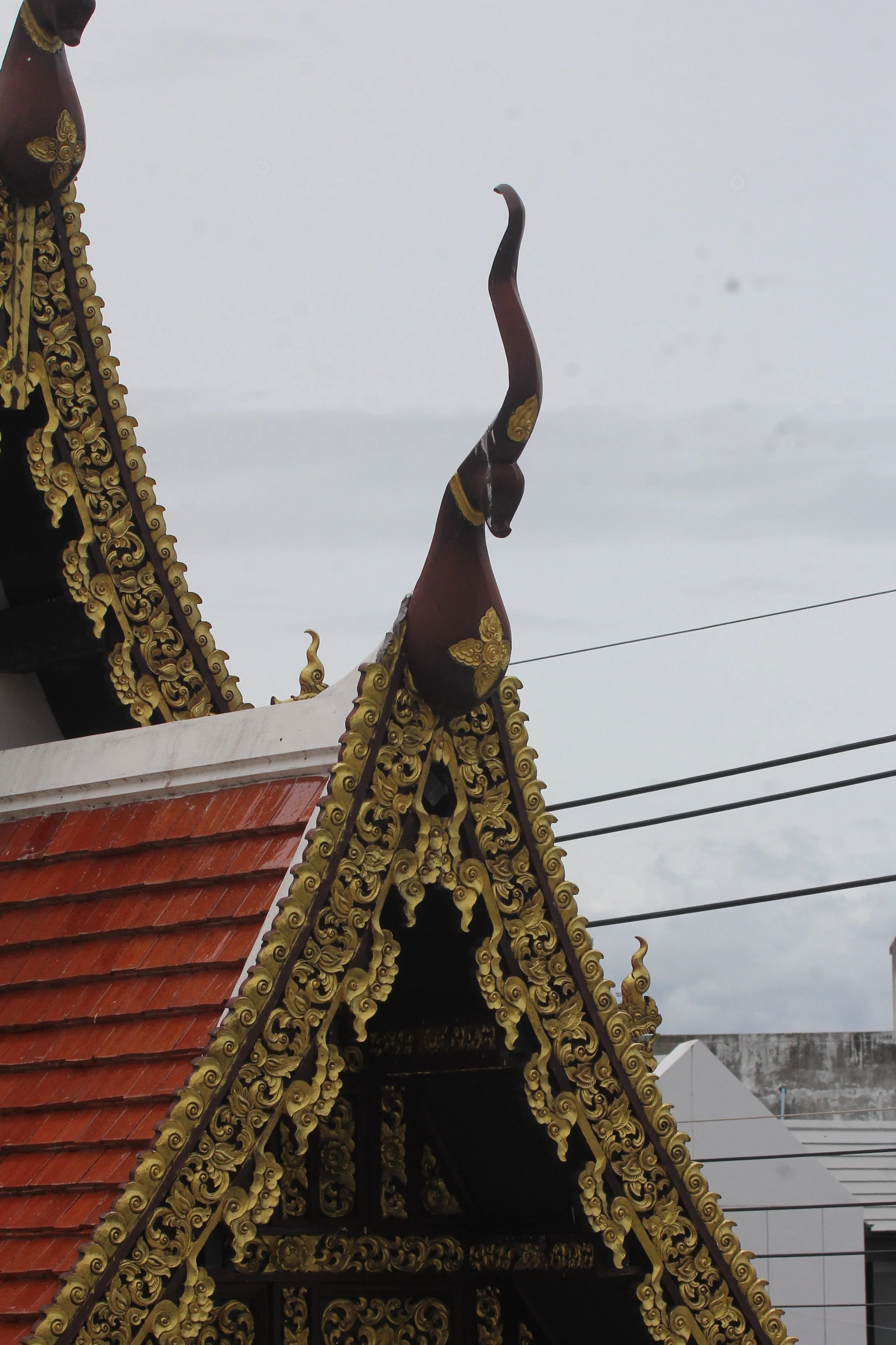 2020 1-2 July Phayao North Thailand Road Trip (49).JPG
