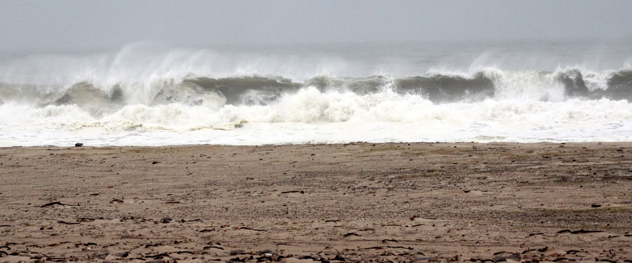 NAMIBIA - SKELETON COAST NATIONAL PARK - SCENERY (15).JPG
