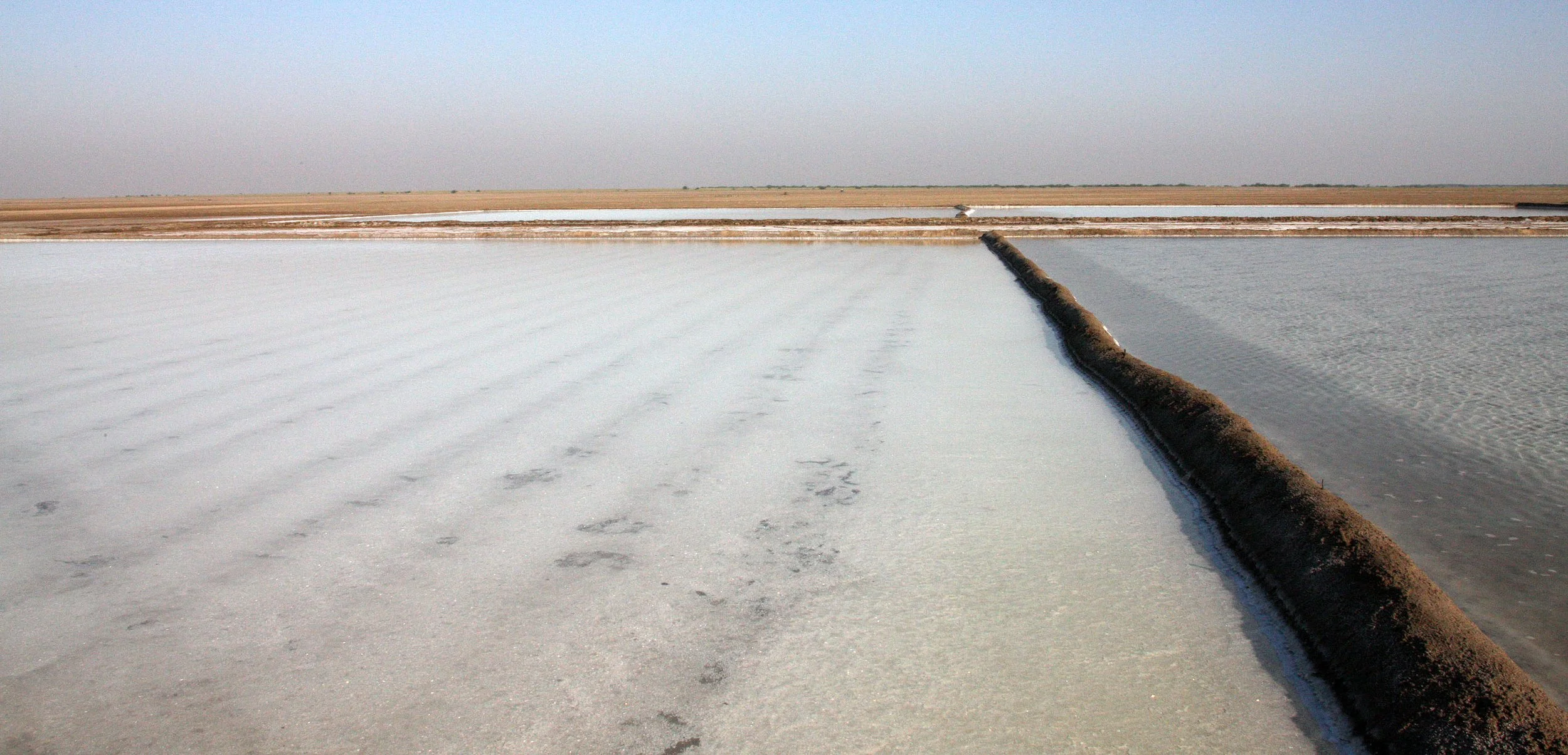 GUJARAT - KUTCH - LITTLE RANN OF KUTCH INDIA (58).JPG