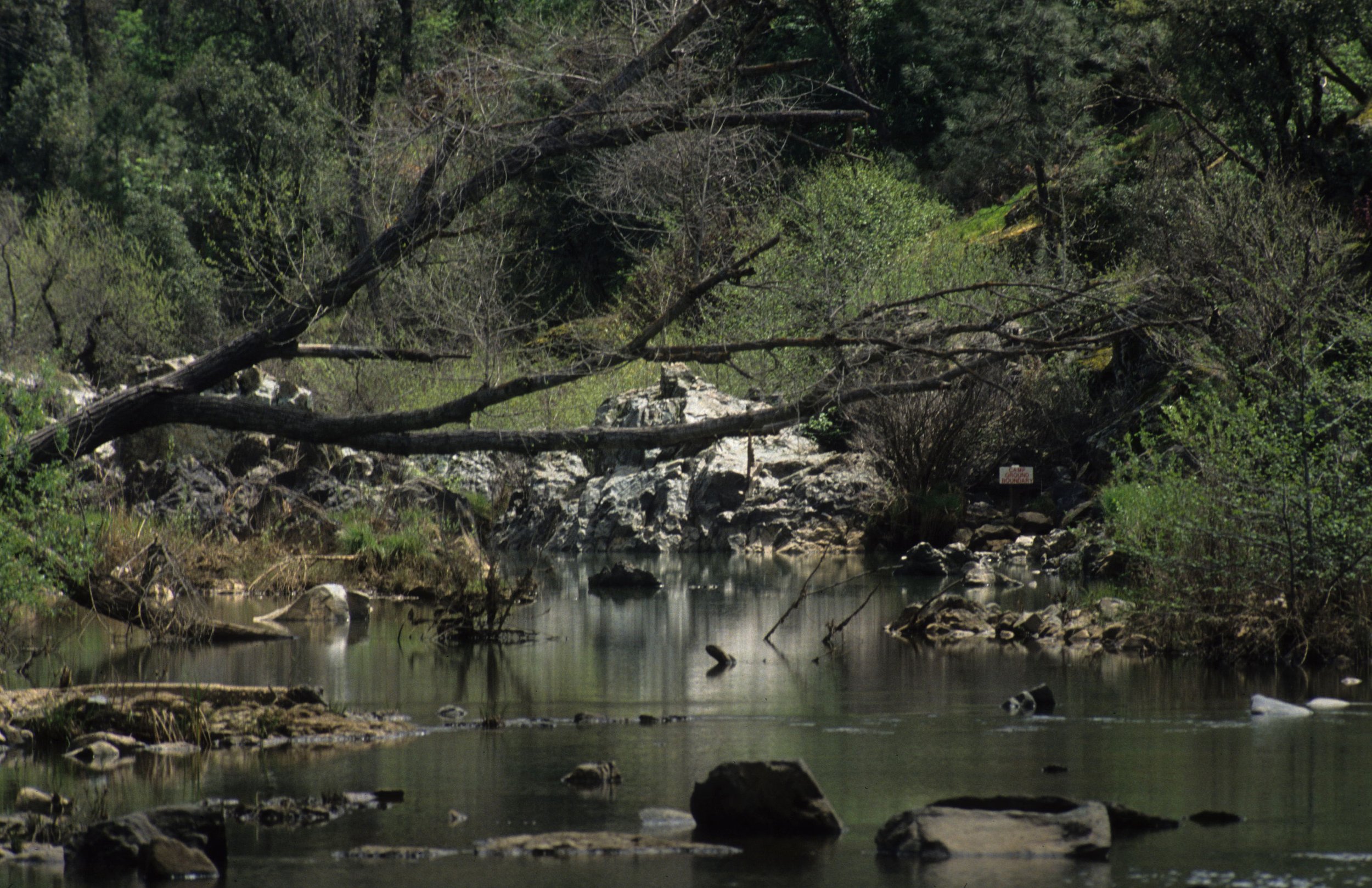 AMERICAN RIVER - SIDE CHANNEL.jpg