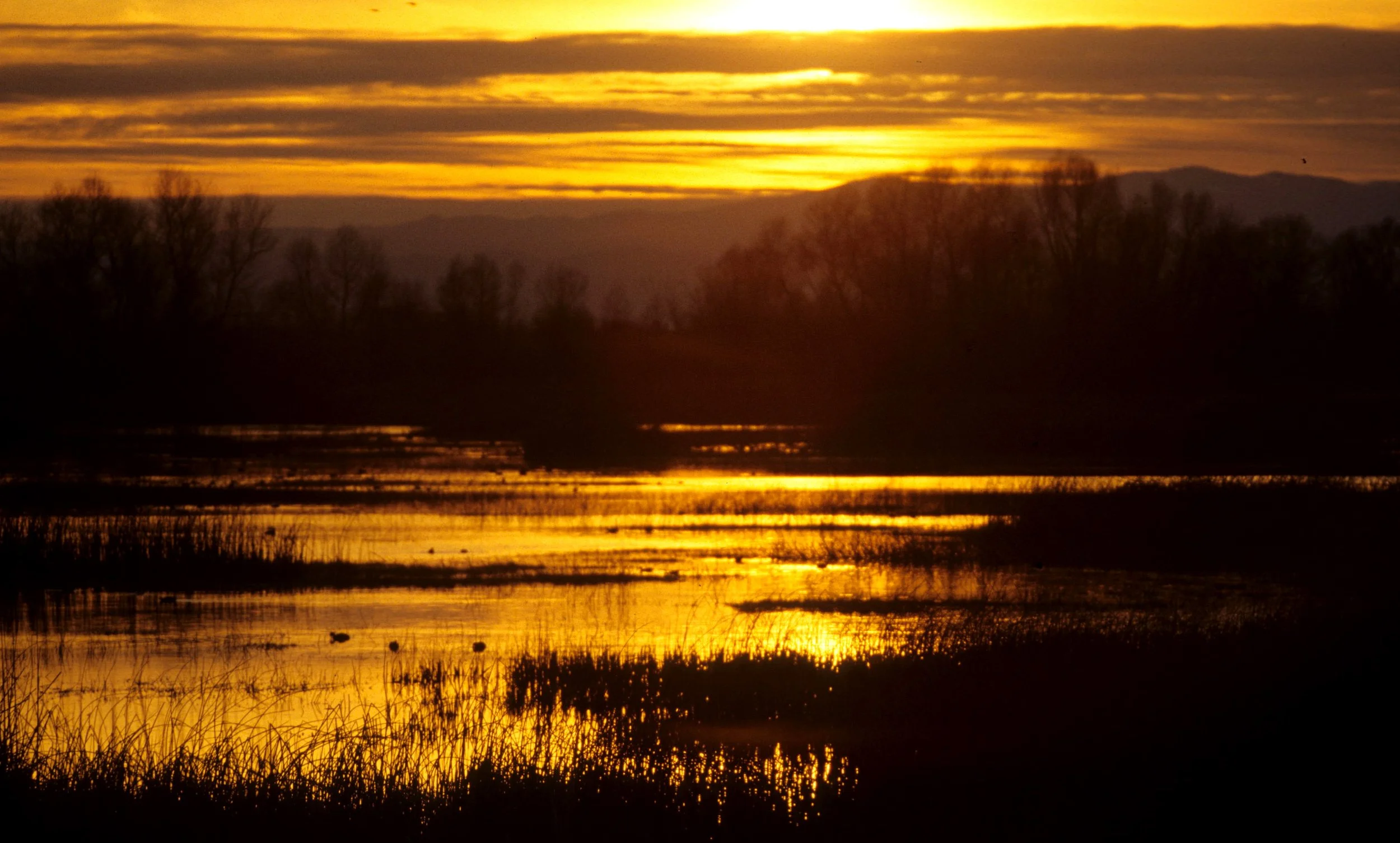 CALIFORNIA - KLAMMATH BASIN SUNSET E.jpg