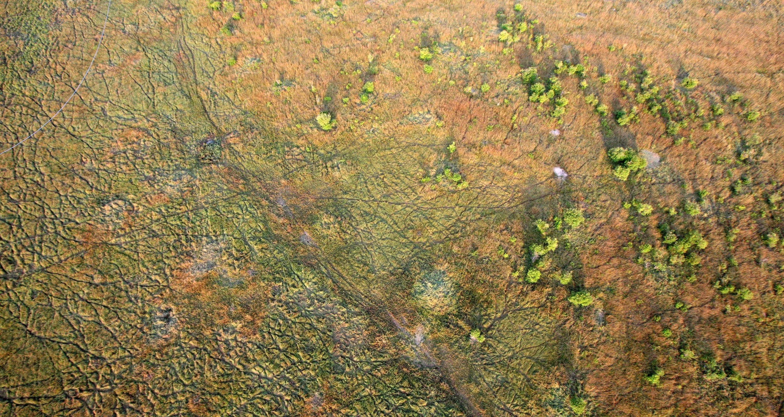 MASAI MARA NATIONAL PARK KENYA (104).JPG