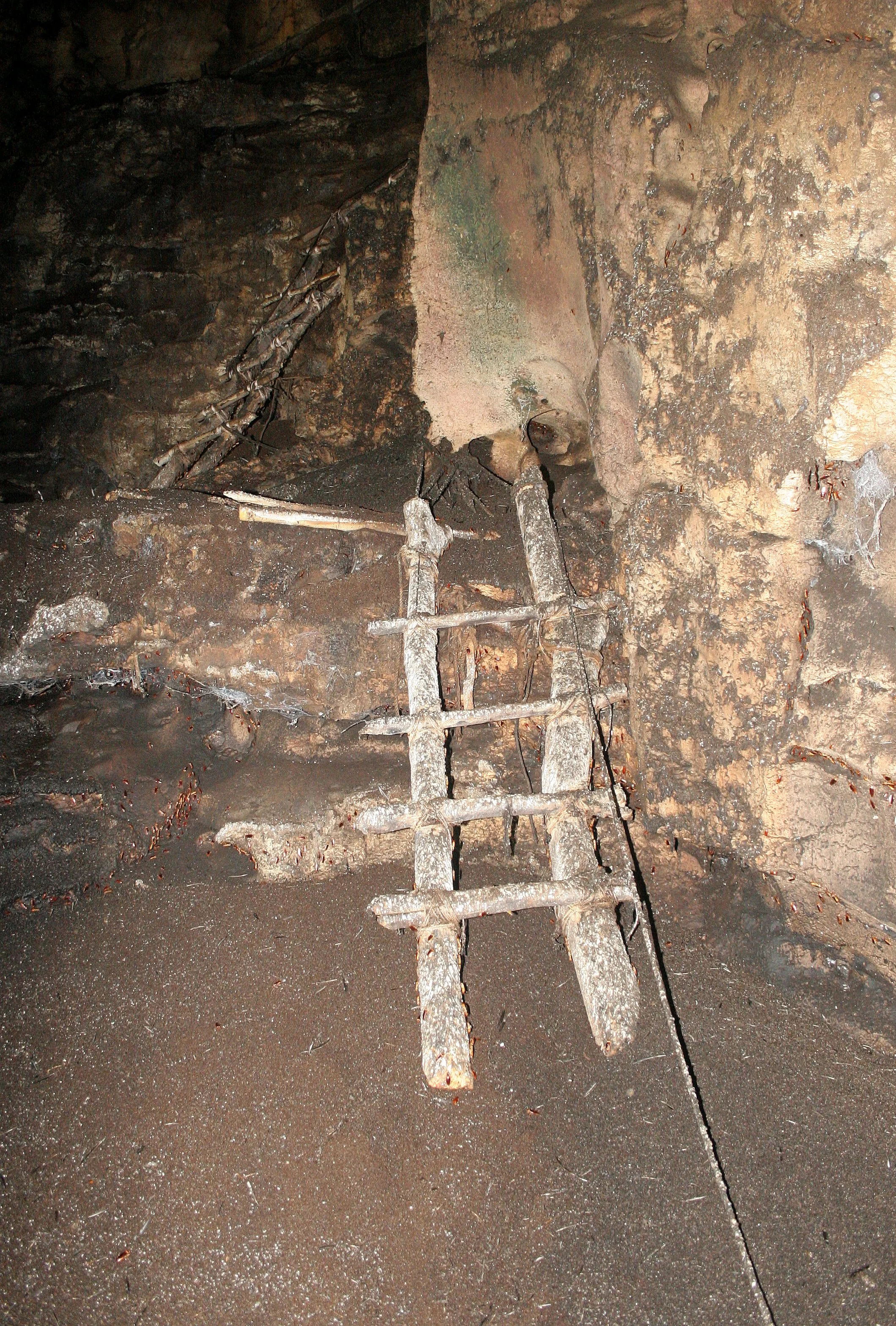 GAMONTONG CAVES BORNEO (19).JPG