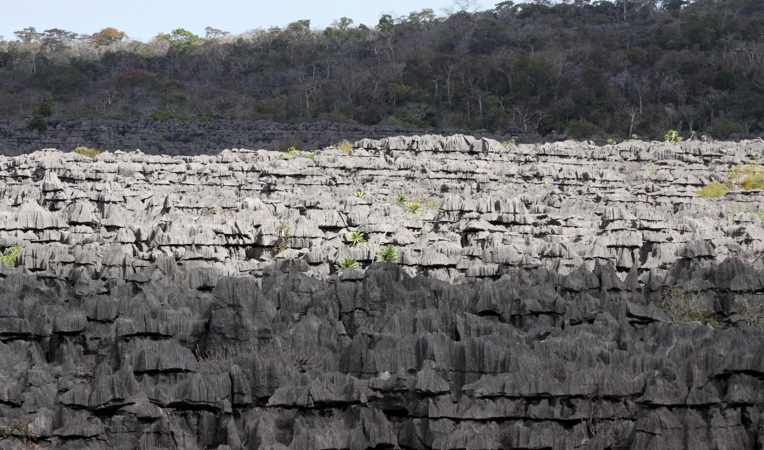 ANKARANA NATIONAL PARK MADAGASCAR - TSINGY FOREST (31).JPG