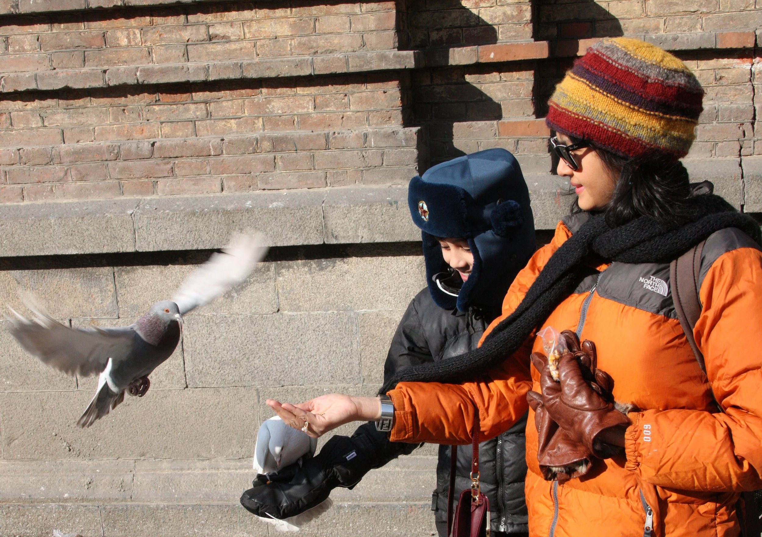 BIRD - PIGEON - HARBIN SAINT SOPHIA'S CATHEDRAL CHINA (31).JPG