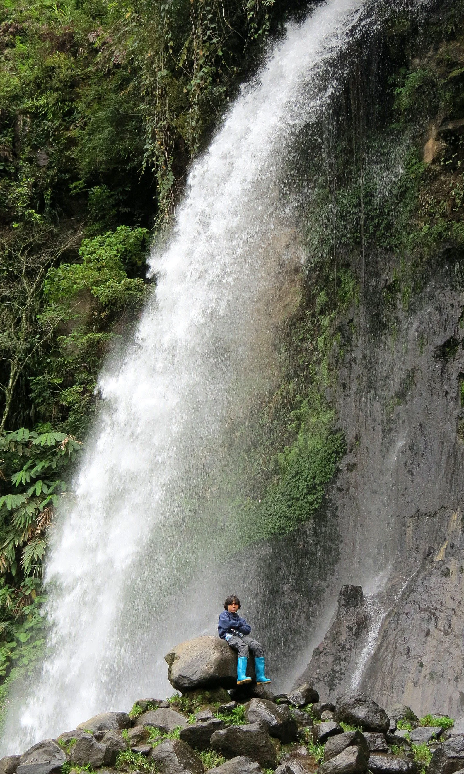 GEDE NATIONAL PARK - JAVA BARAT INDONESIA (58).JPG