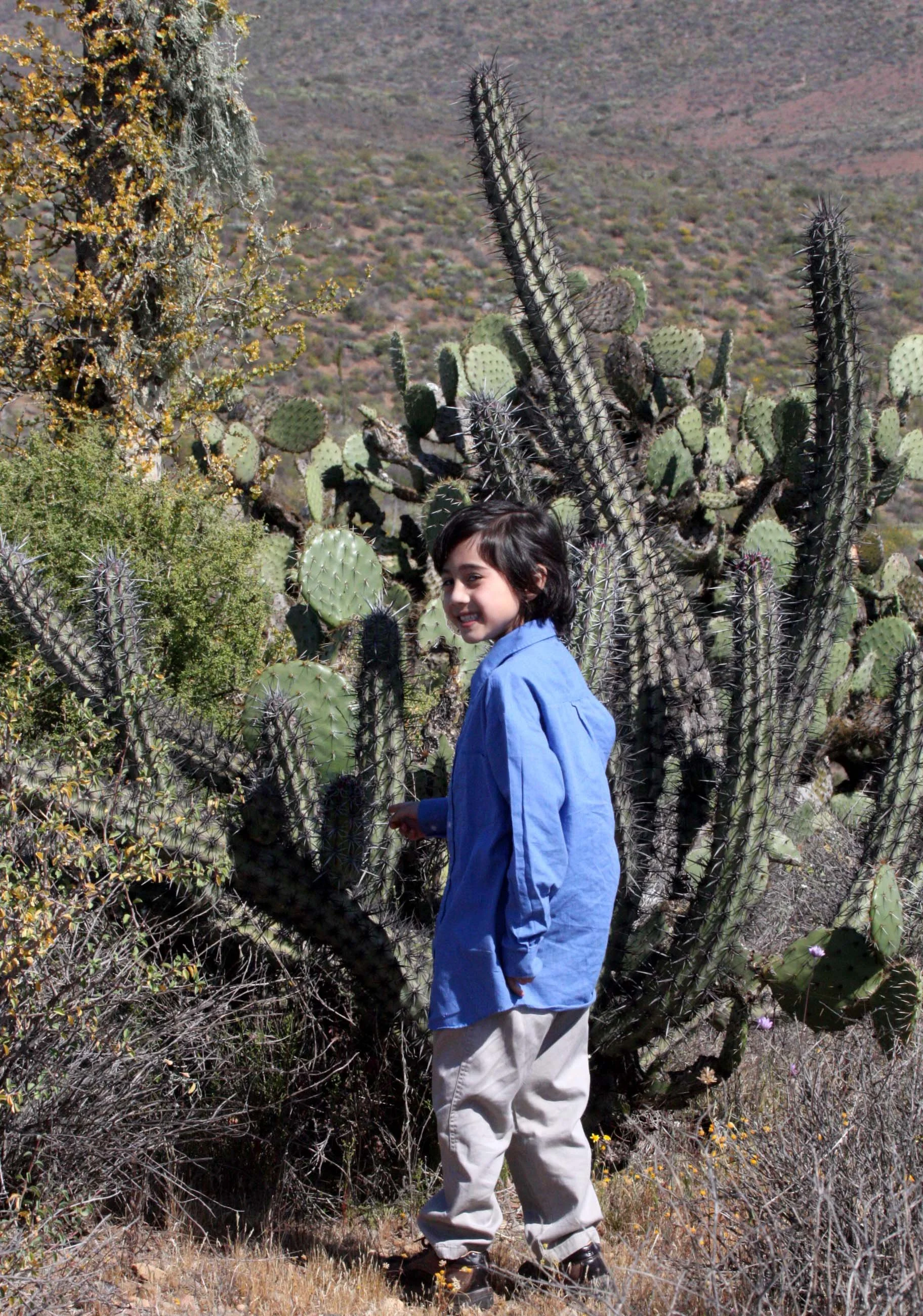 CATAVINA DESERT BAJA MEXICO - COKIE HANGING IN THE DESERT (3).JPG