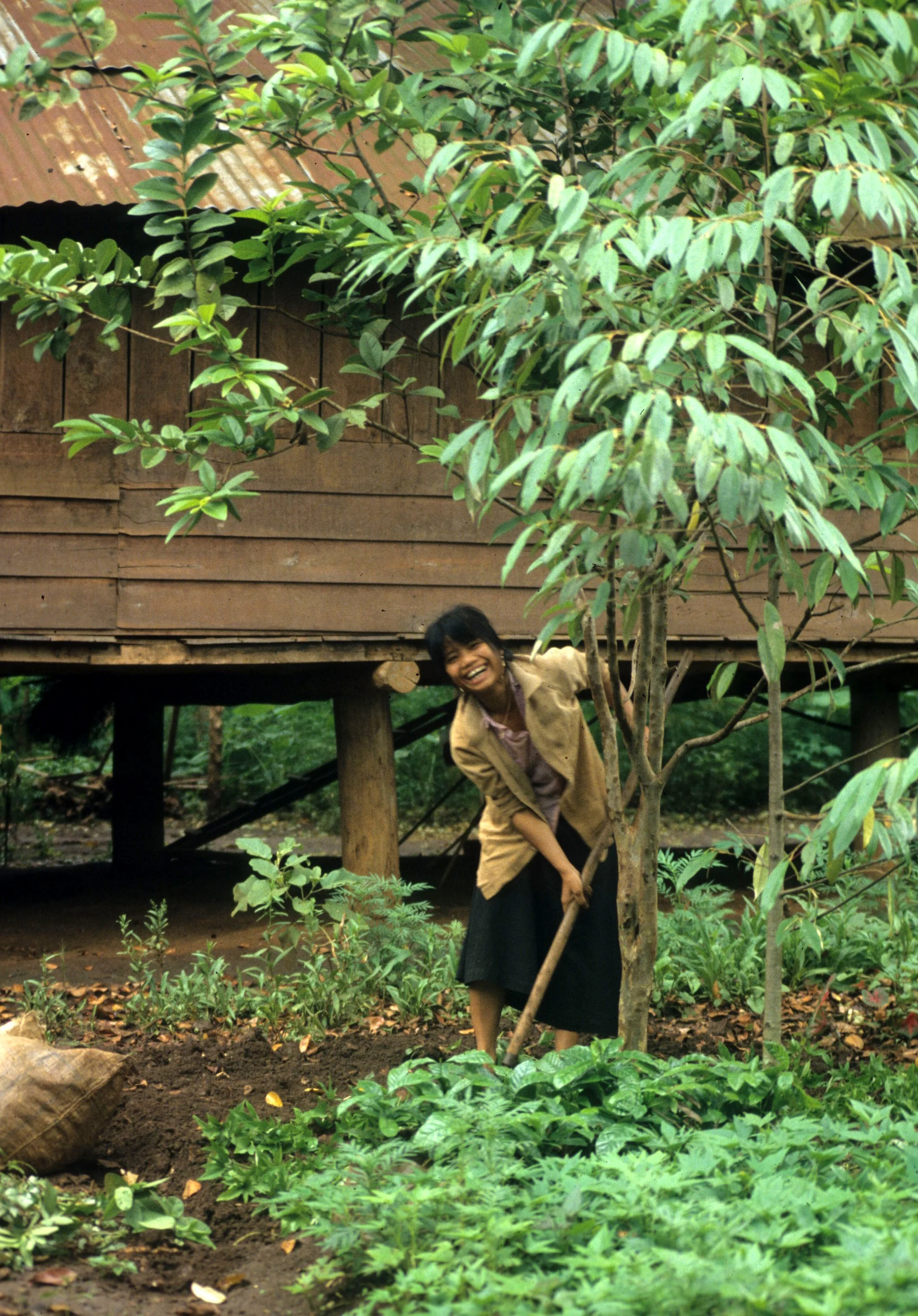 HILLTRIBE - ADAY HILL TRIBE NEAR BUNMETOUT O.jpg