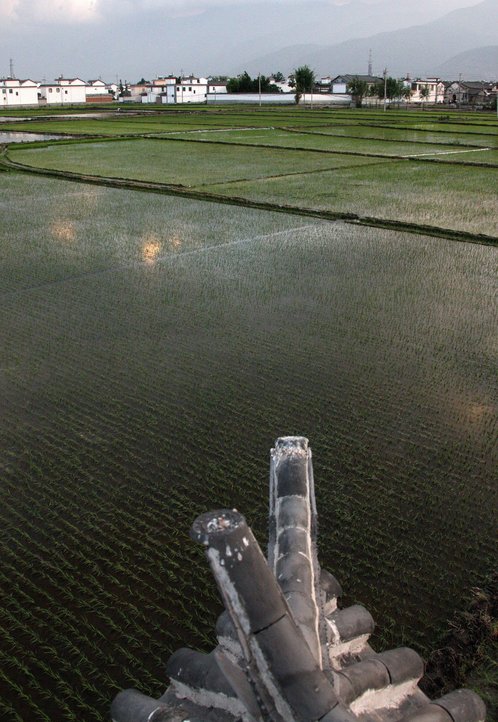 LINDEN CENTER - XIZHOU VILLAGE YUNNAN CHINA (38).JPG