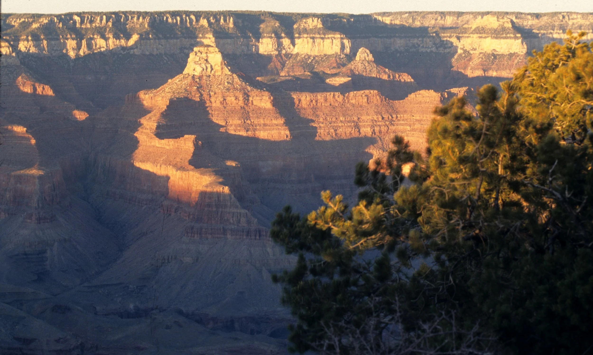 ARIZONA - GRAND CANYON NATIONAL PK (23).jpg