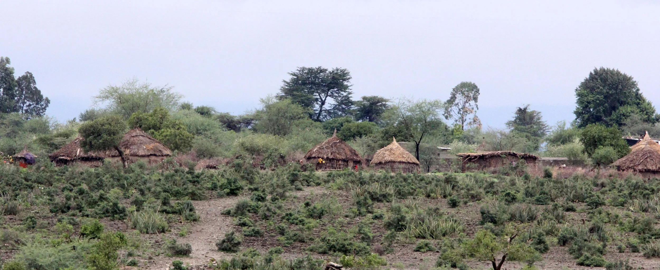 AWASH NATIONAL PARK ETHIOPIA (30).JPG