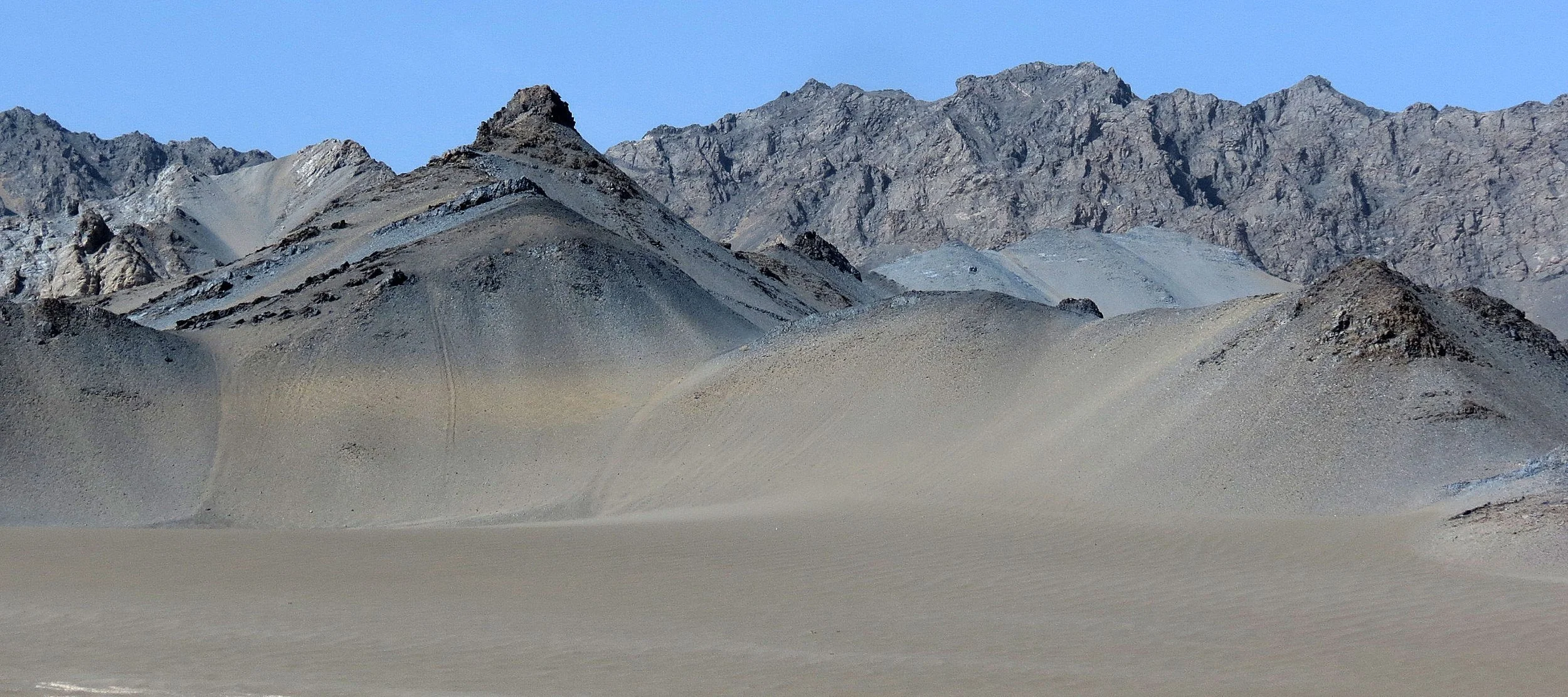 LOP NUR WILD BACTRIAN CAMEL RESERVE - XINJIANG CHINA (28).JPG