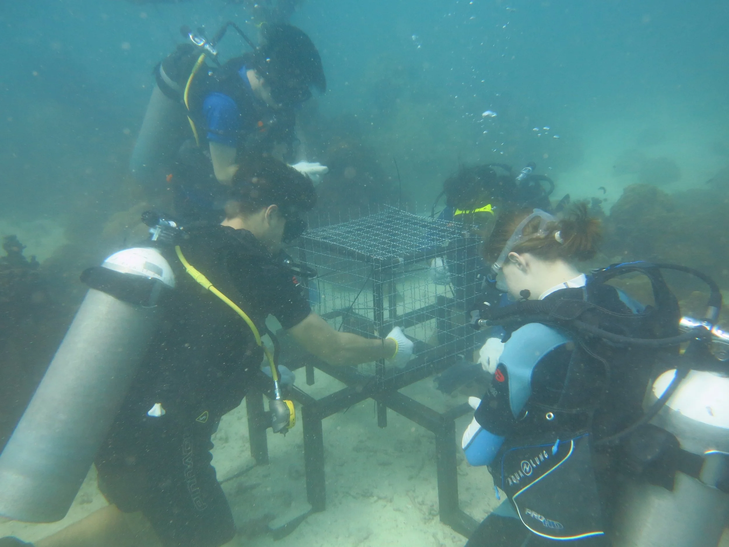 2016 BPS Satthahip Dive Trip with Marine Conservation Club (21).JPG