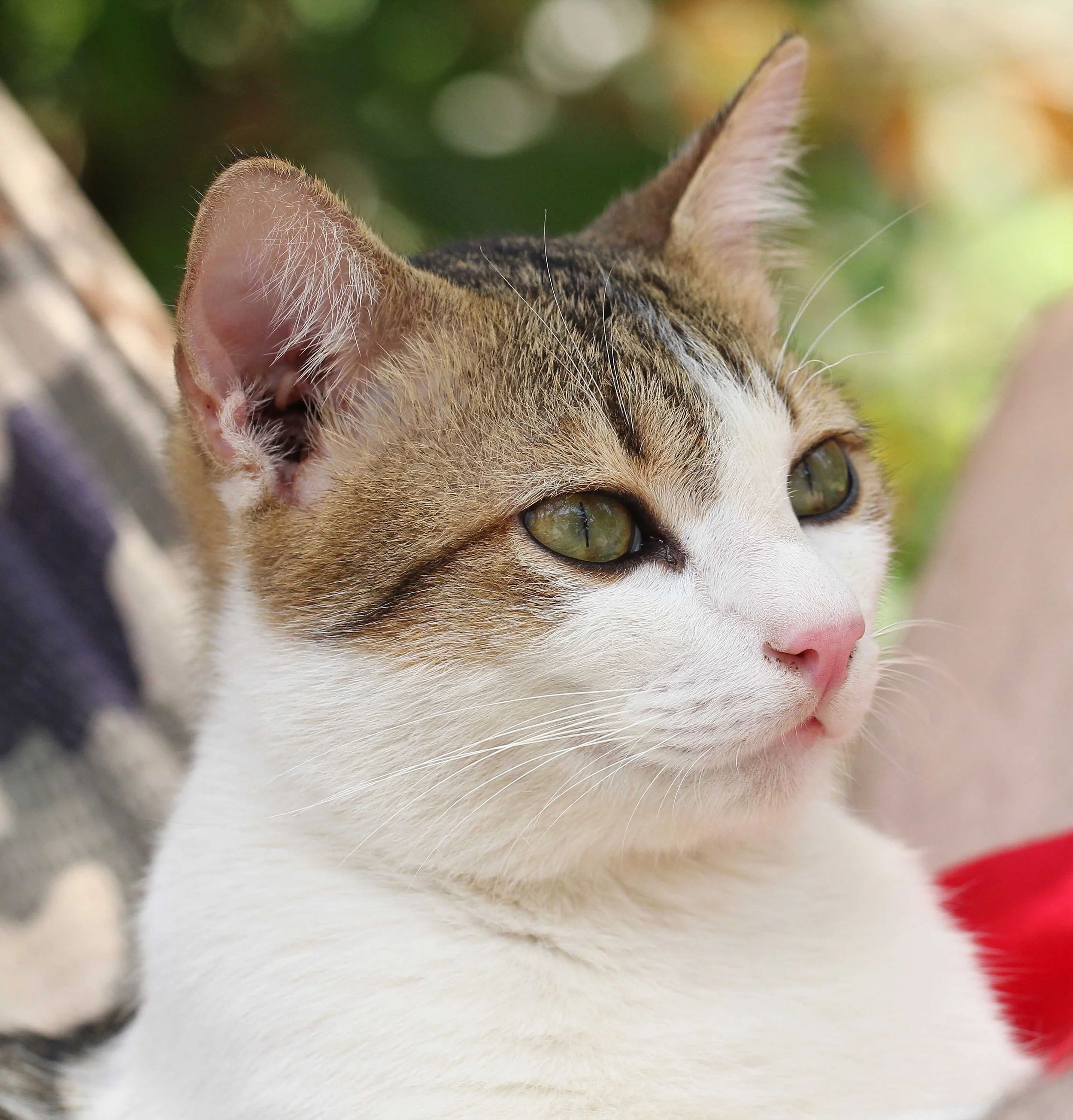 2015 Koh Lanta Songkran with friends from ISB (730).JPG