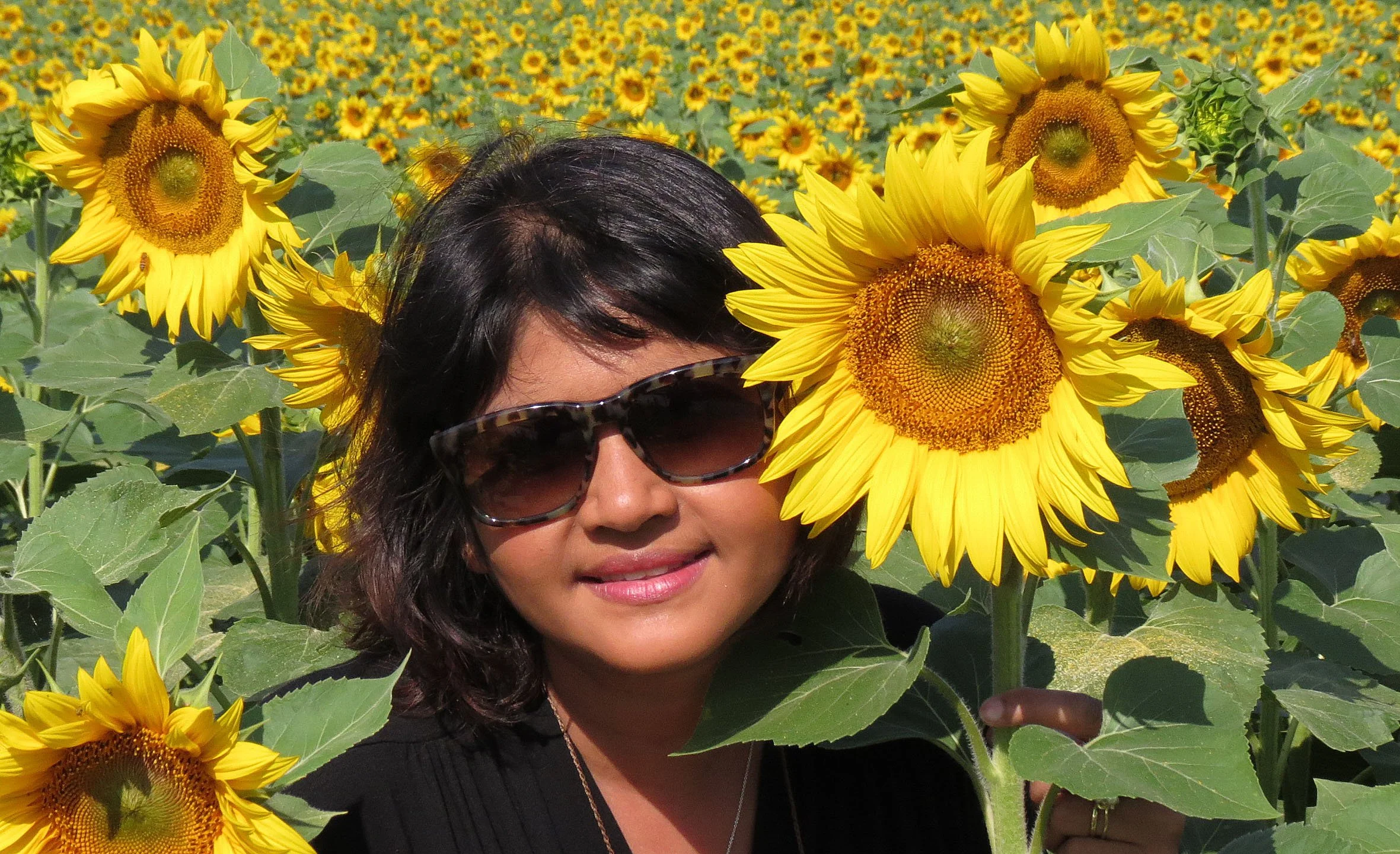 VERCOR NATIONAL PARK FRANCE (31).JPG