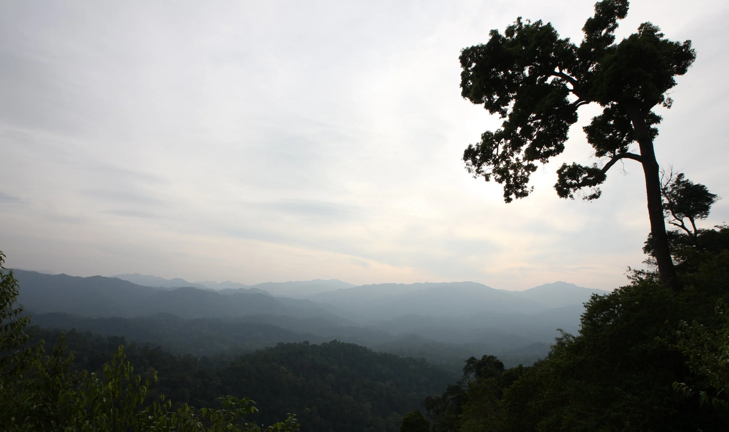KAENG KRACHAN NP THAILAND - FOREST SCENES (13).JPG