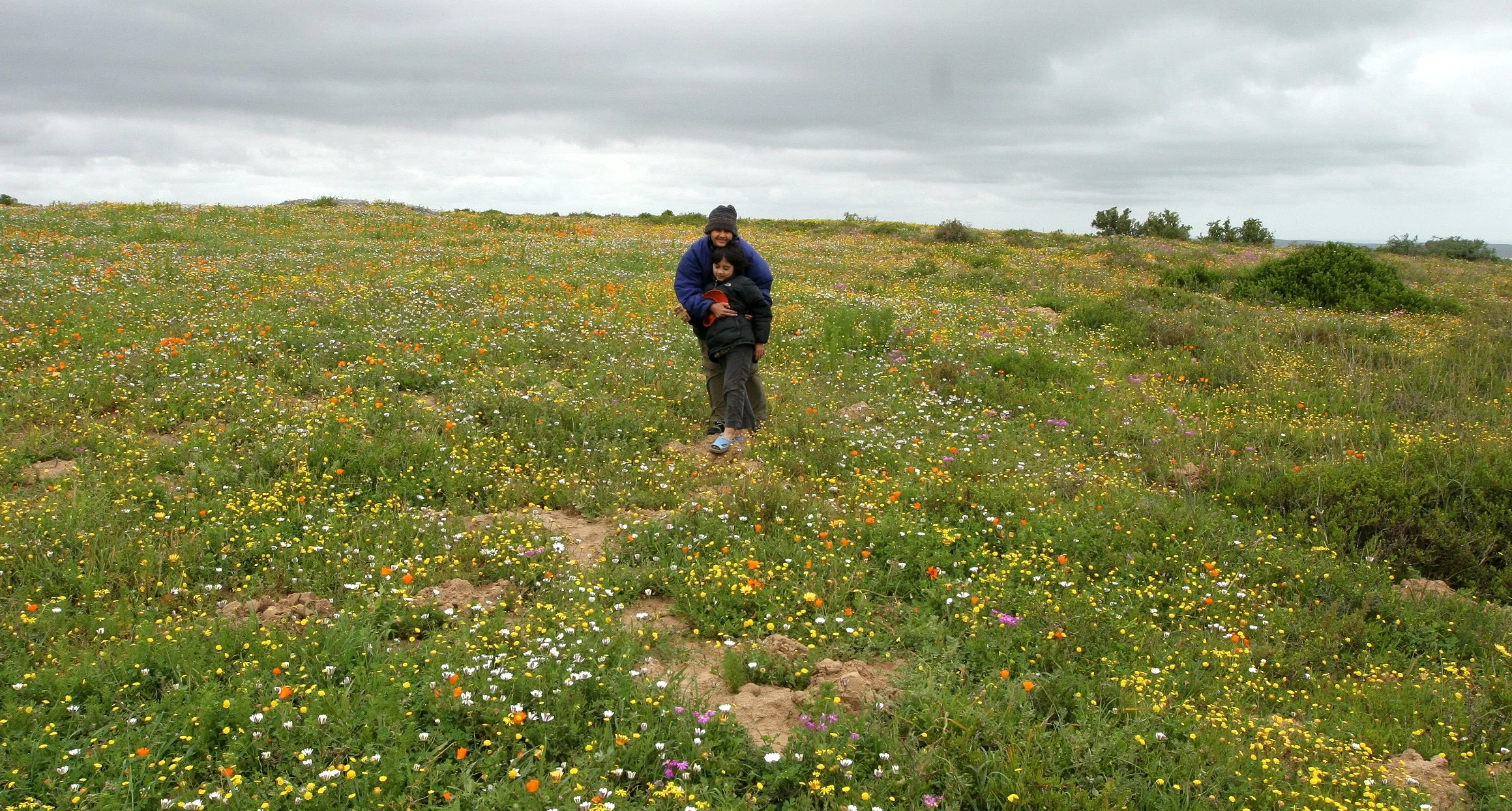 WEST COAST NATIONAL PARK SOUTH AFRICA - VIEWS OF (3).JPG
