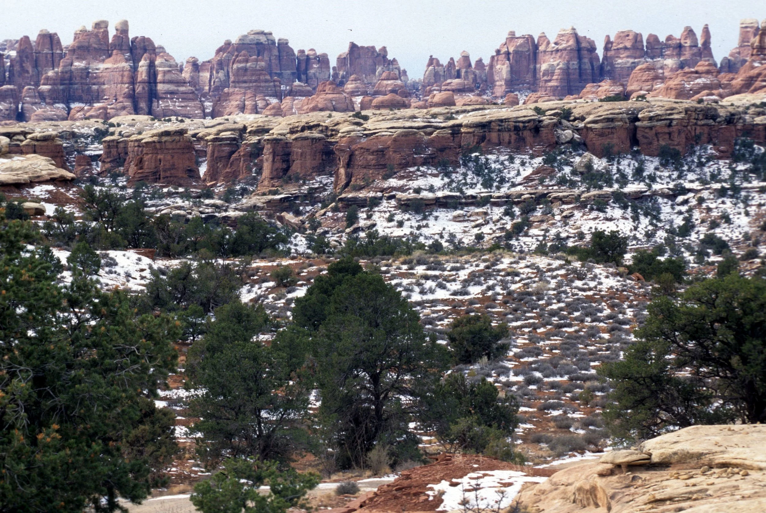 UTAH - CANYONLANDS NP B.jpg
