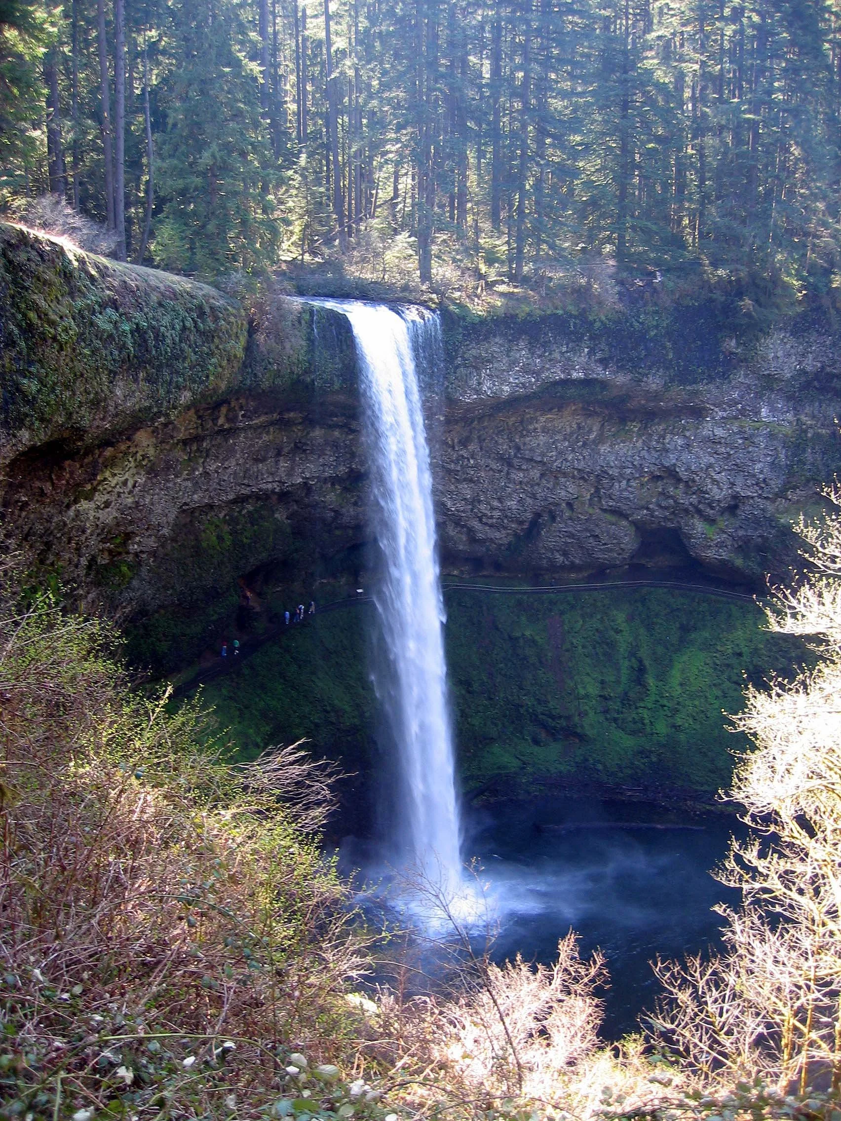 OREGON - SILVER FALLS STATE PARK (2).jpg