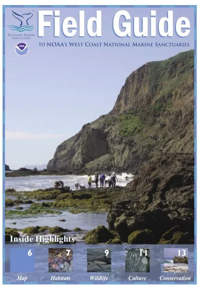 CALIFORNIA - CHANNEL ILANDS - GUIDE IMAGE OF MINE (2).jpg