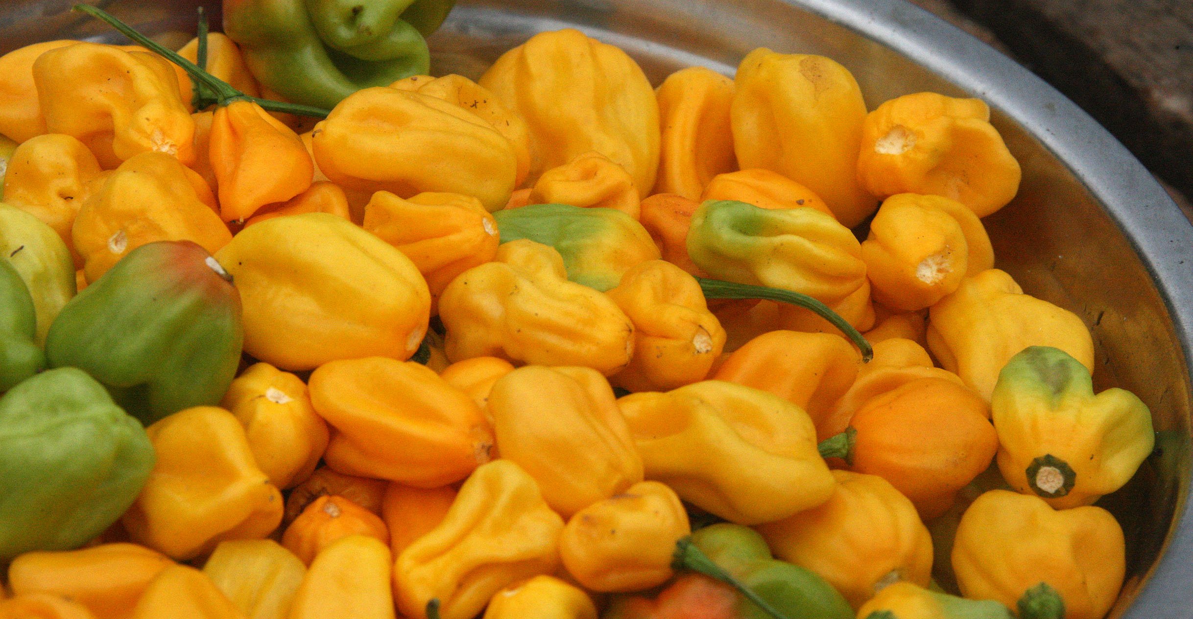 BODA - SOUTHERN AREAS -  CENTRAL AFRICAN REPUBLIC (13).JPG