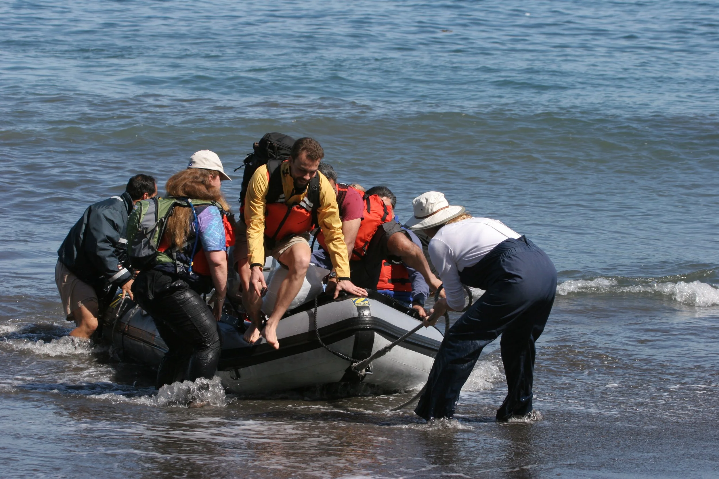 CALIFORNIA - CHANNEL ISLANDS NP - ANACAPA ISLAND - LIMPETS RESEARCH TRIP (35).jpg