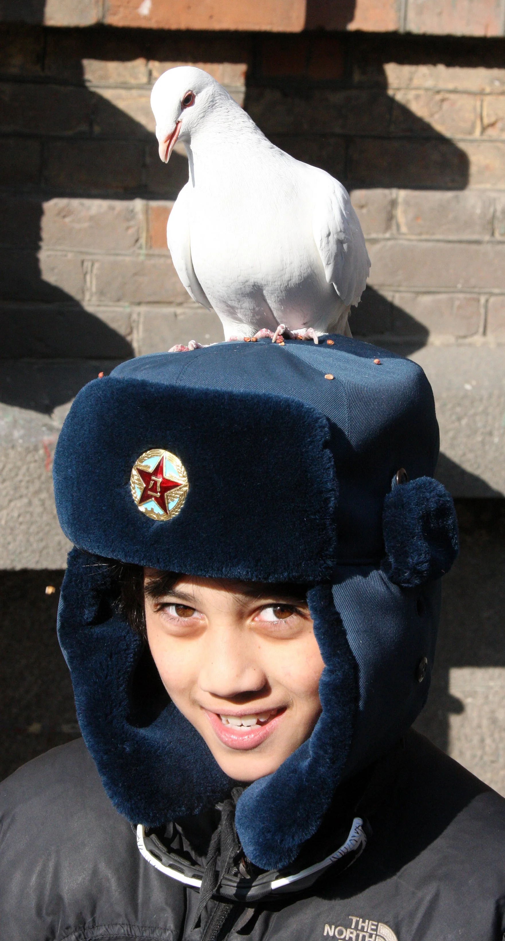 BIRD - PIGEON - HARBIN SAINT SOPHIA'S CATHEDRAL CHINA (75).JPG