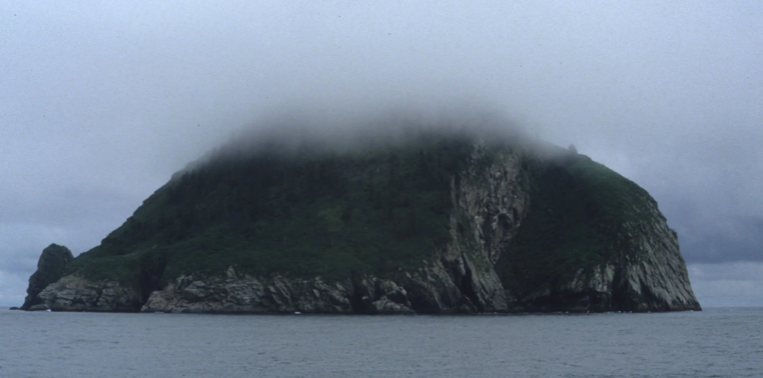 ALASKA - KENAI FJORDS BIRD ROOKERIES.jpg