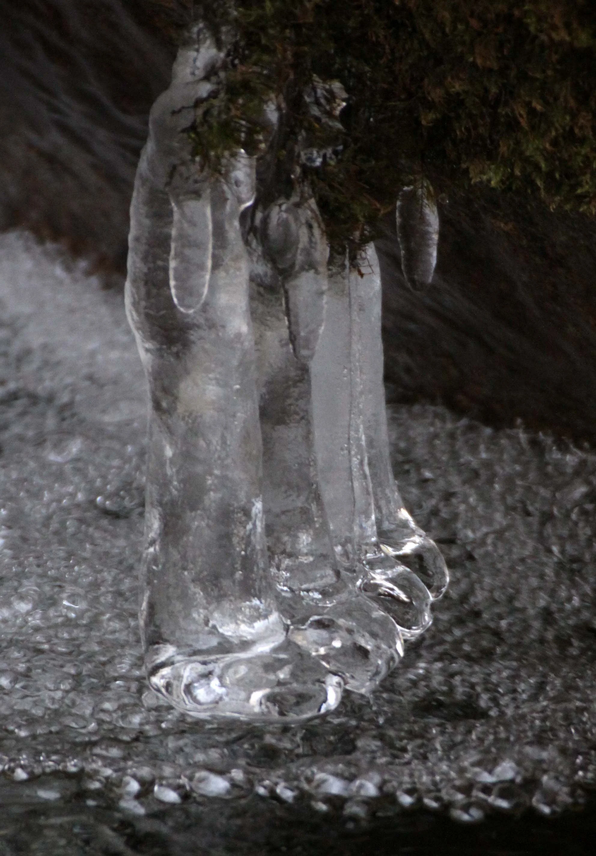 FOPING NATURE RESERVE - SHAANXI PROVINCE CHINA (133).JPG