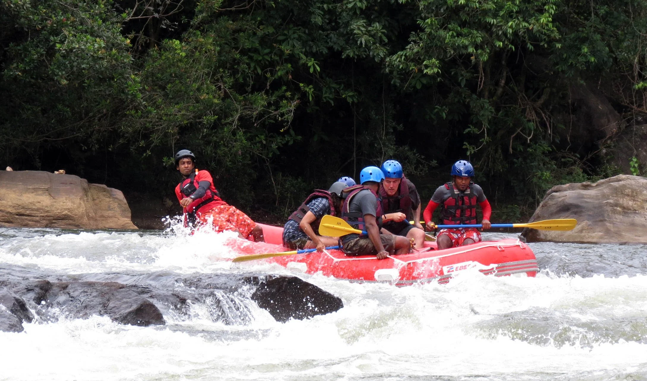 KITULGALA FOREST PRESERVE SRI LANKA (43).JPG
