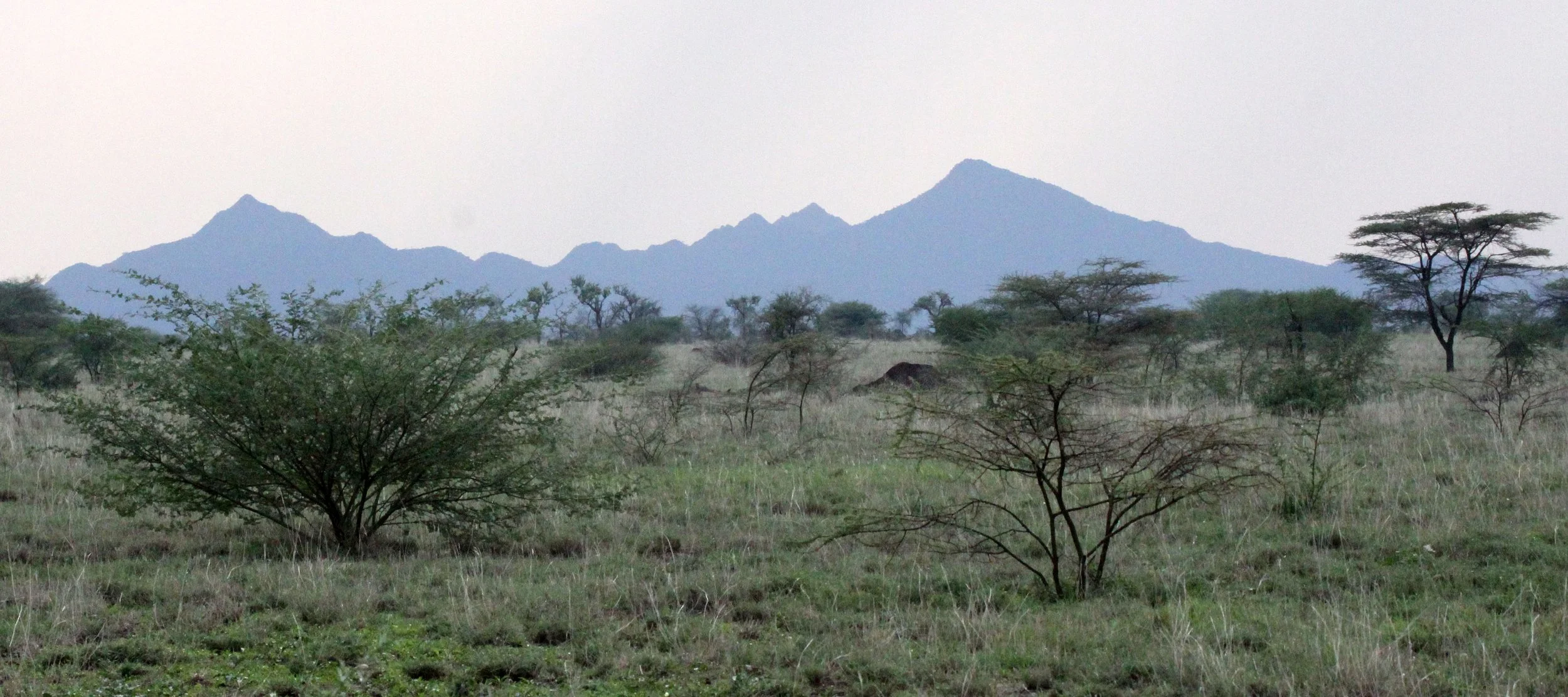 AWASH NATIONAL PARK ETHIOPIA (18).JPG