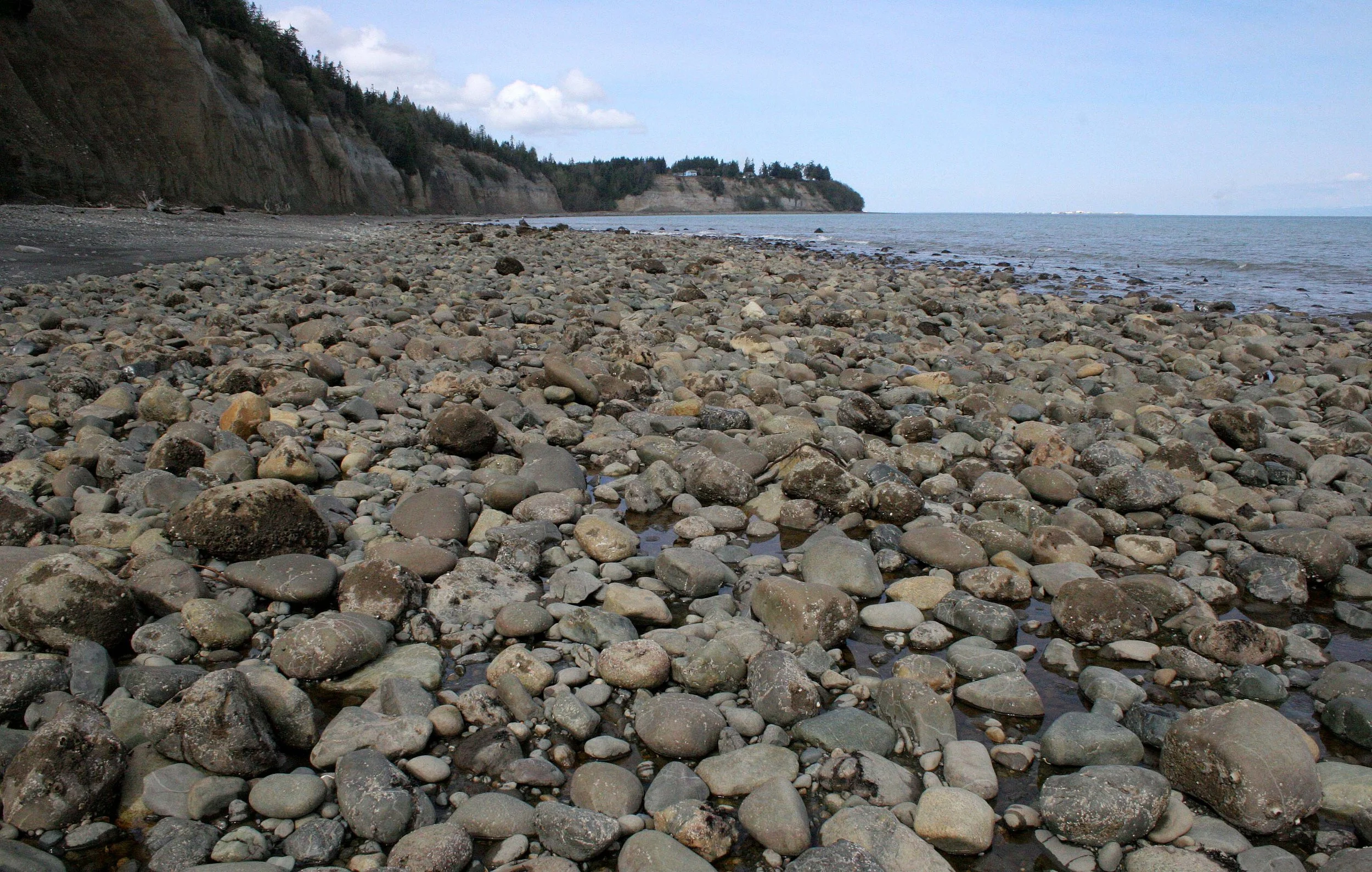 2008-4-20 LAKE FARM BEACH WALK (3).JPG