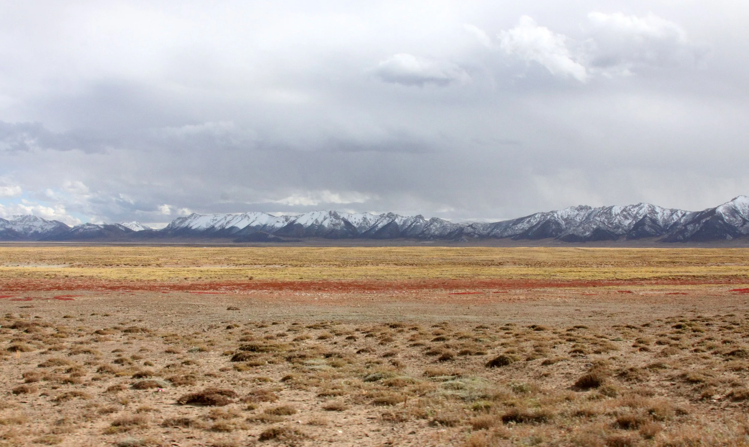 DONG GEI CUO NA LAKE - QINGHAI CHINA (19).JPG