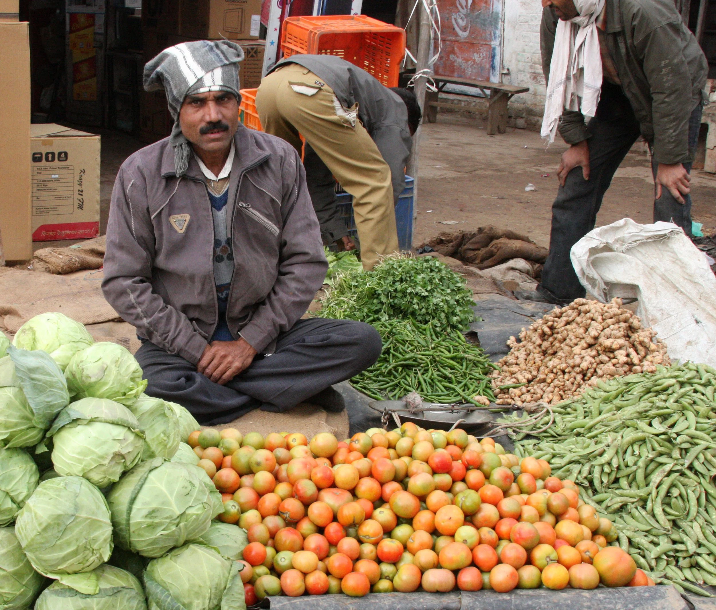 CHAMBAL RIVER SANCTUARY INDIA (25).JPG