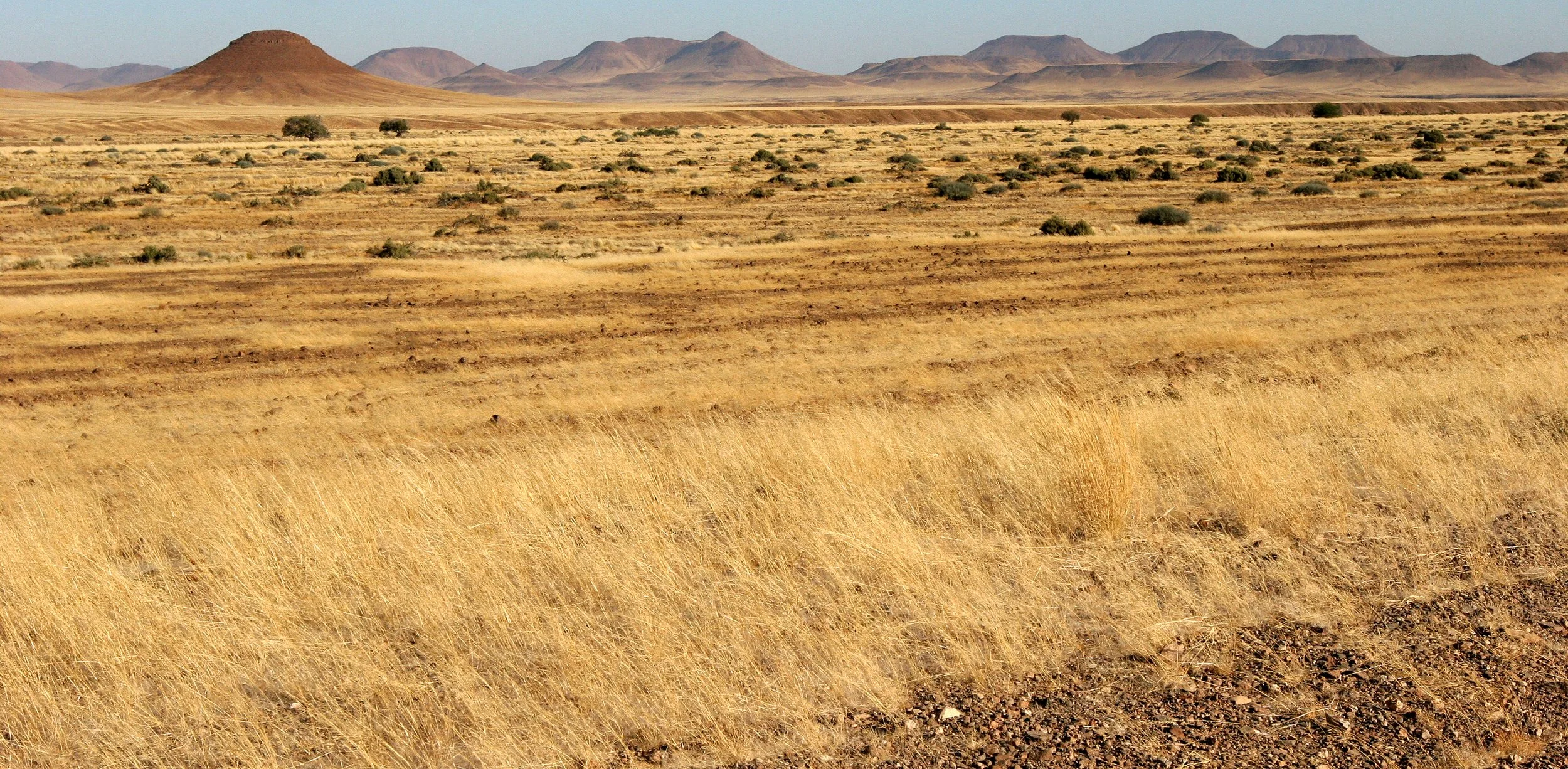 NAMIBIA - SKELETON COAST NATIONAL PARK (5).JPG