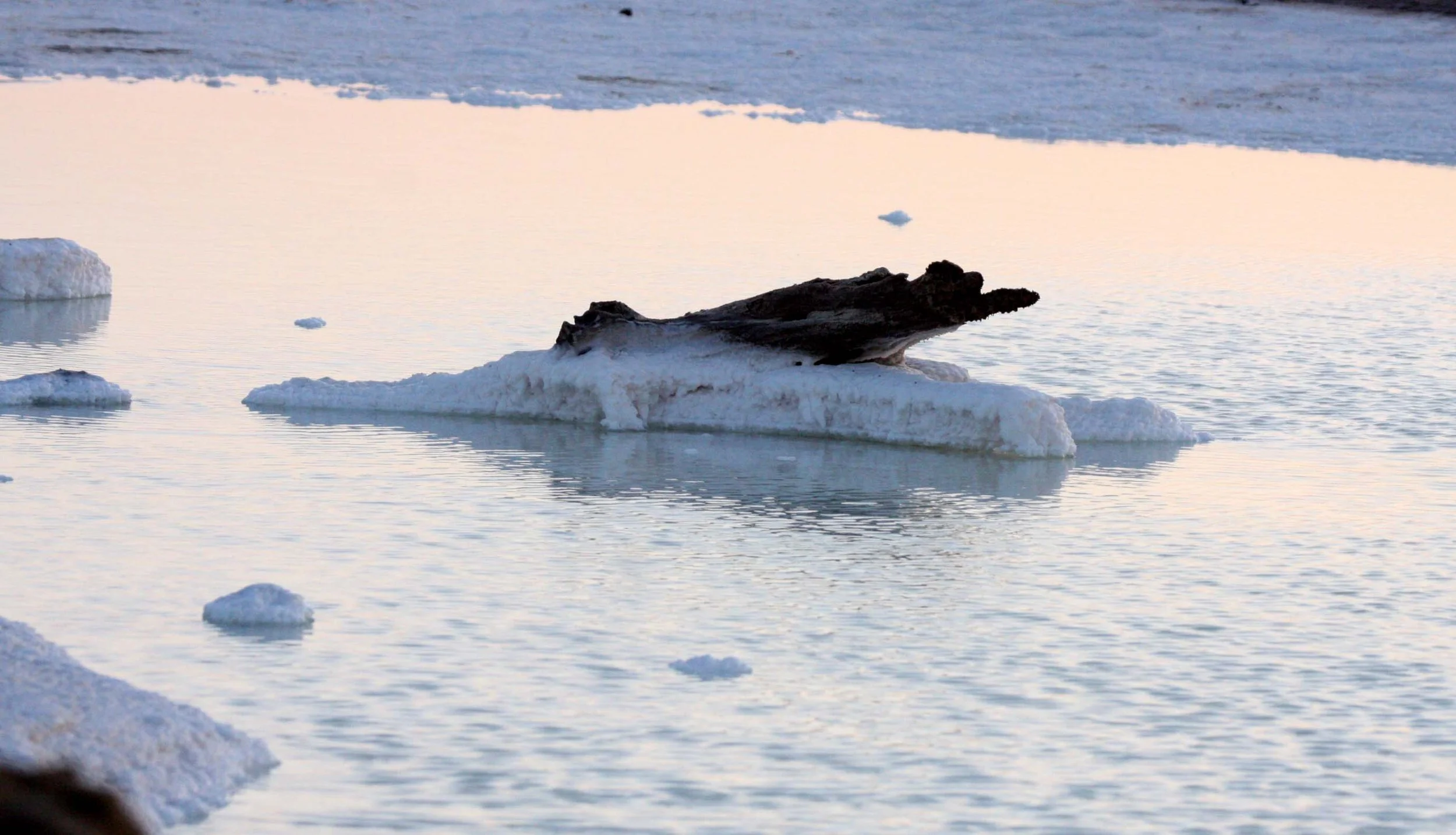 SAN IGNACIO LAGOON BAJA MEXICO - SALT POOLS (2).JPG