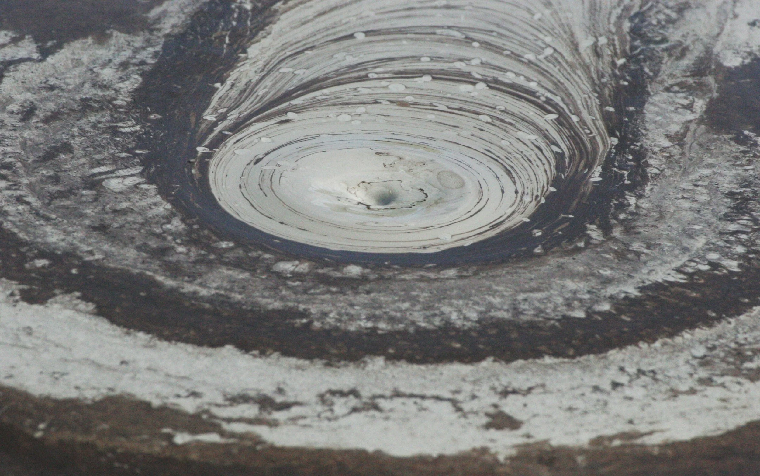 TABIN WILDLIFE RESERVE BORNEO - MUD VOLCANOES (27).JPG
