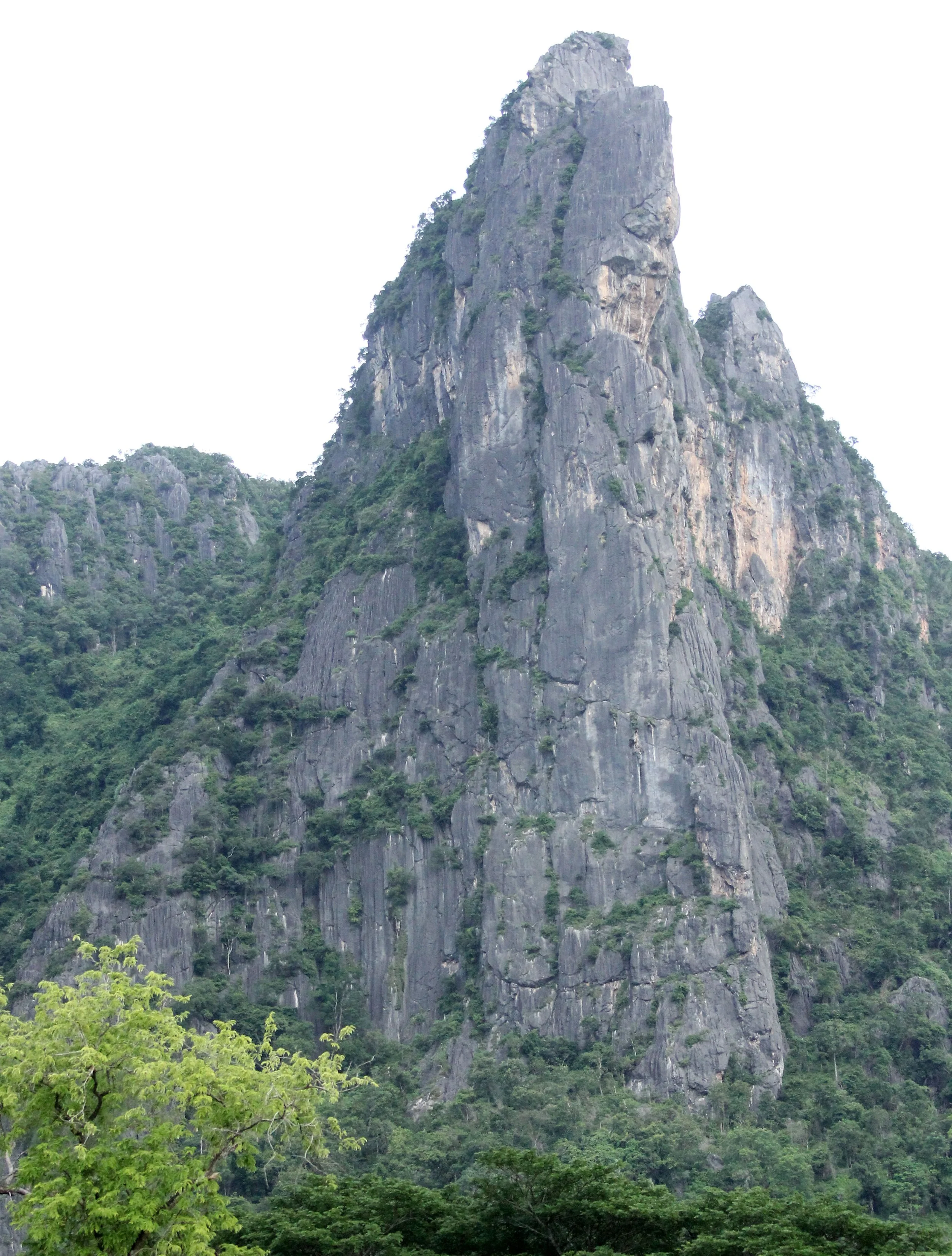 2017 Phu Khieo Wildlife Sanctuary  (23).JPG