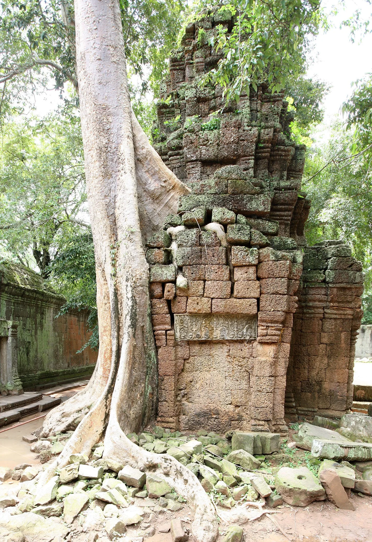 TA PROHM TEMPLE CAMBODIA - JULY 2010 (5).JPG