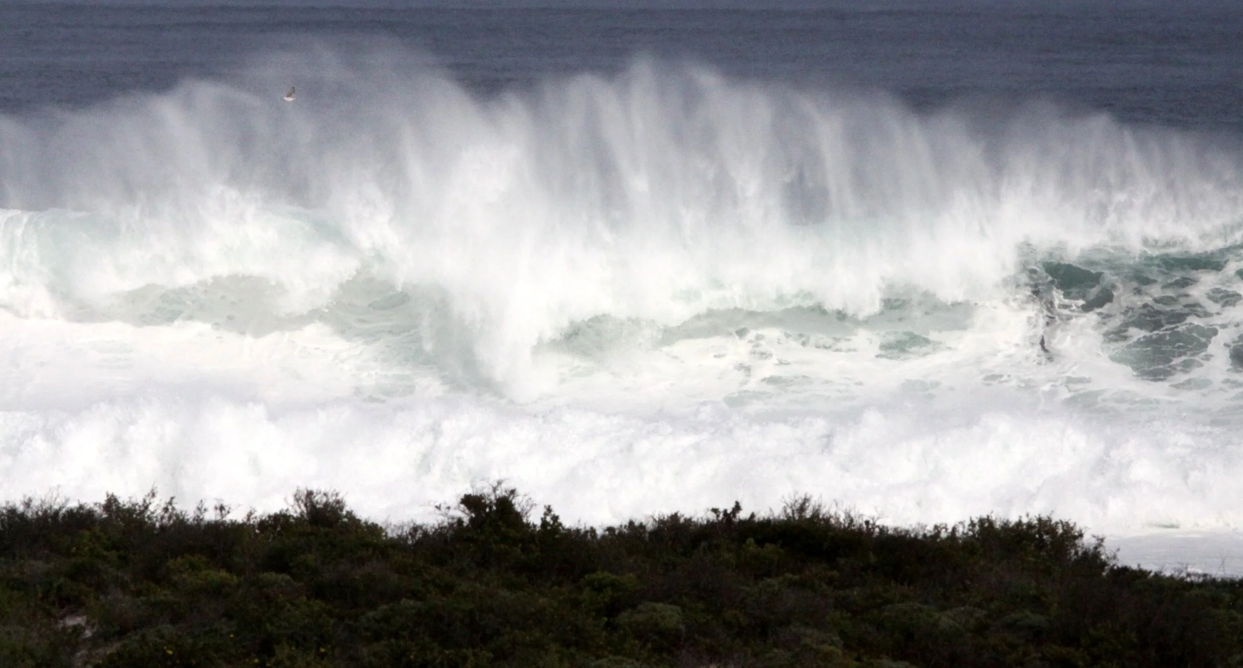 LAMBERT'S BAY SOUTH AFRICA - SURF'S UP! (22).JPG