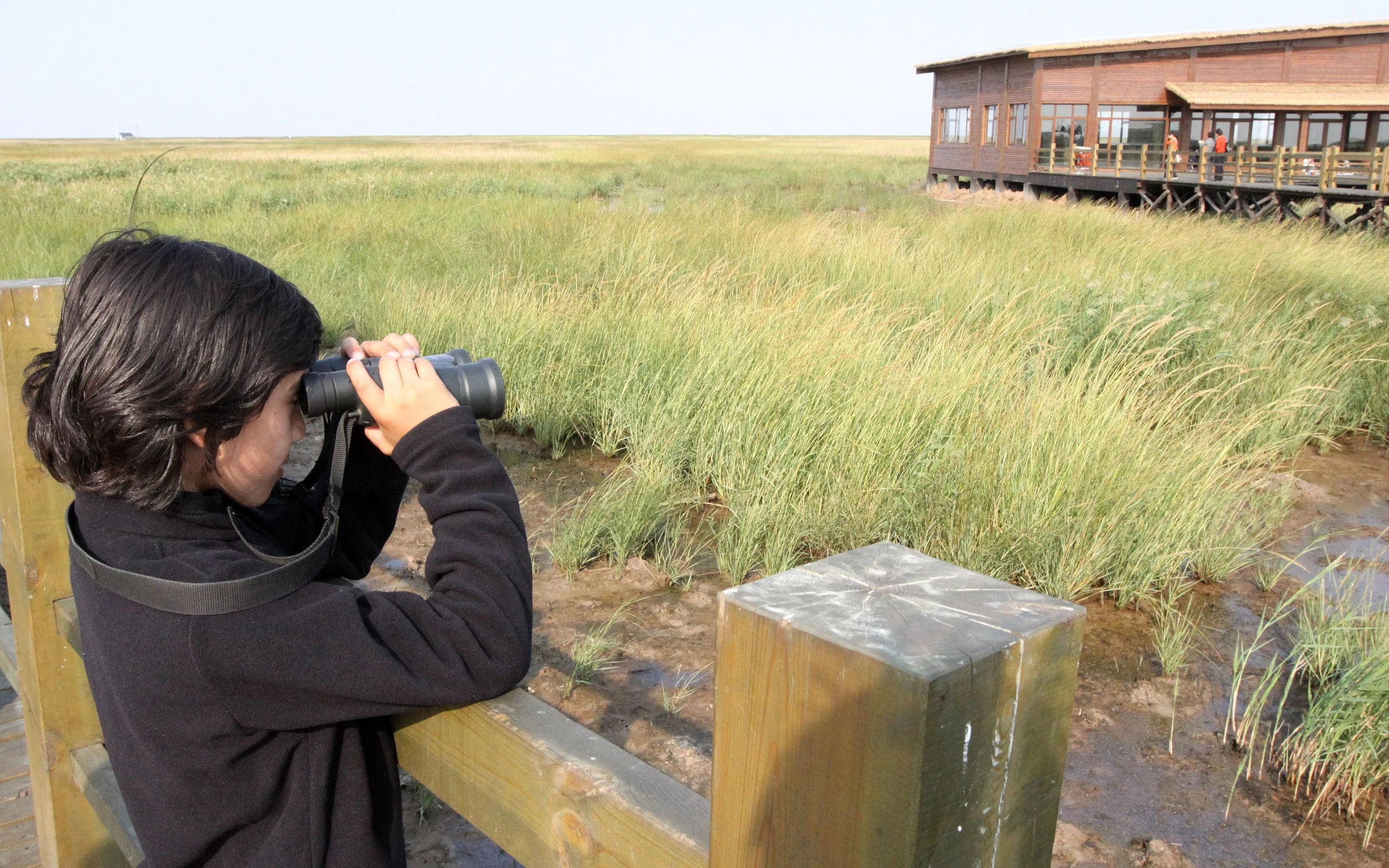 CHONGMING ISLAND - DONGTAN WETLANDS RESERVE - CHINA (24).JPG