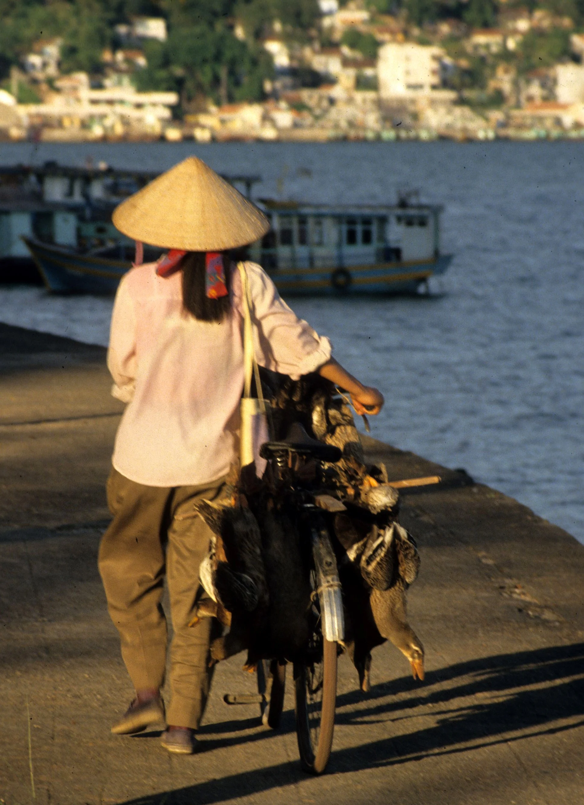 VIET NAM - ANIMALS FOR FOOD.jpg
