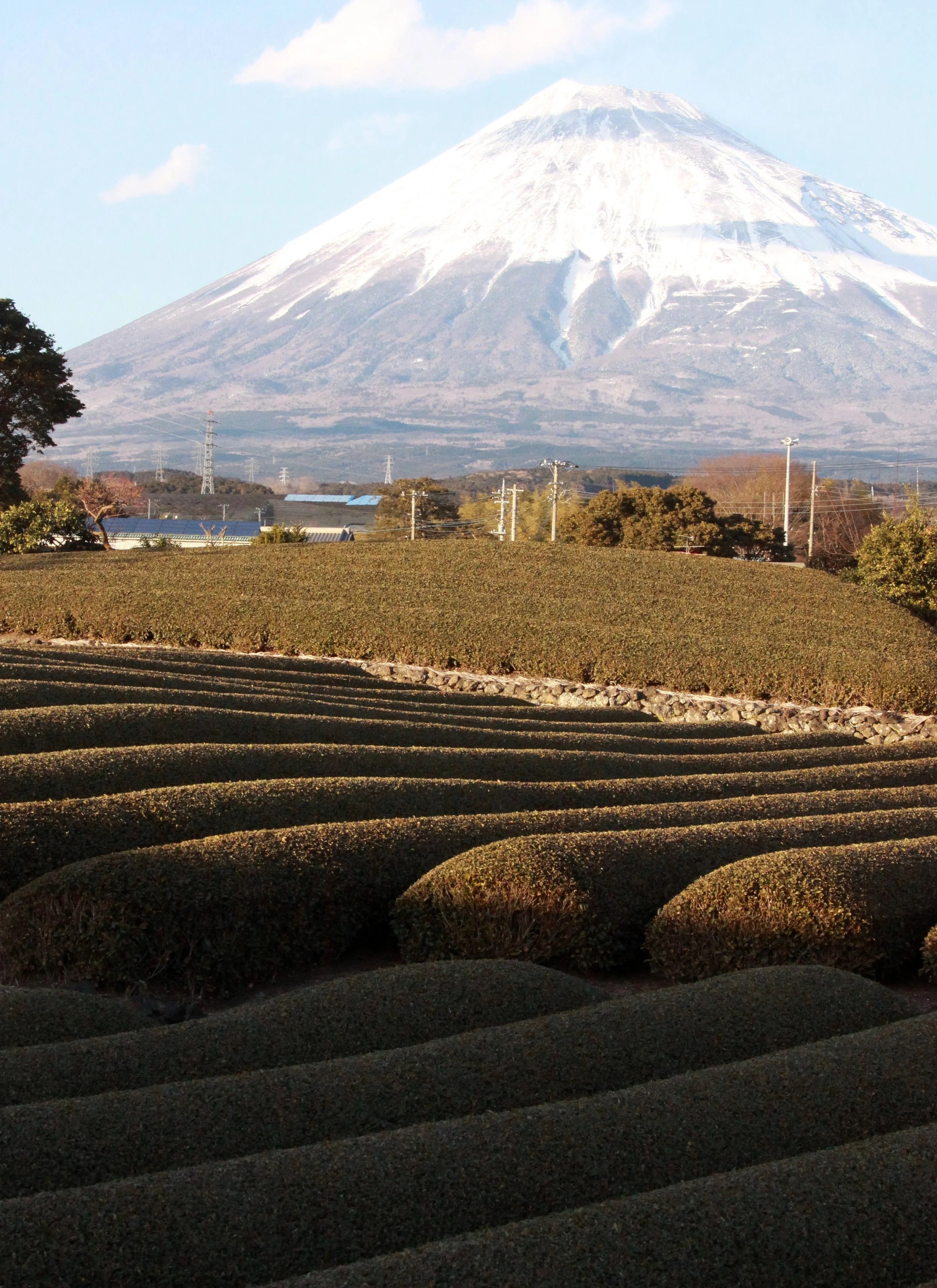MOUNT FUJY - AS SEEN FROM FUJI CITY JAPAN (1).JPG