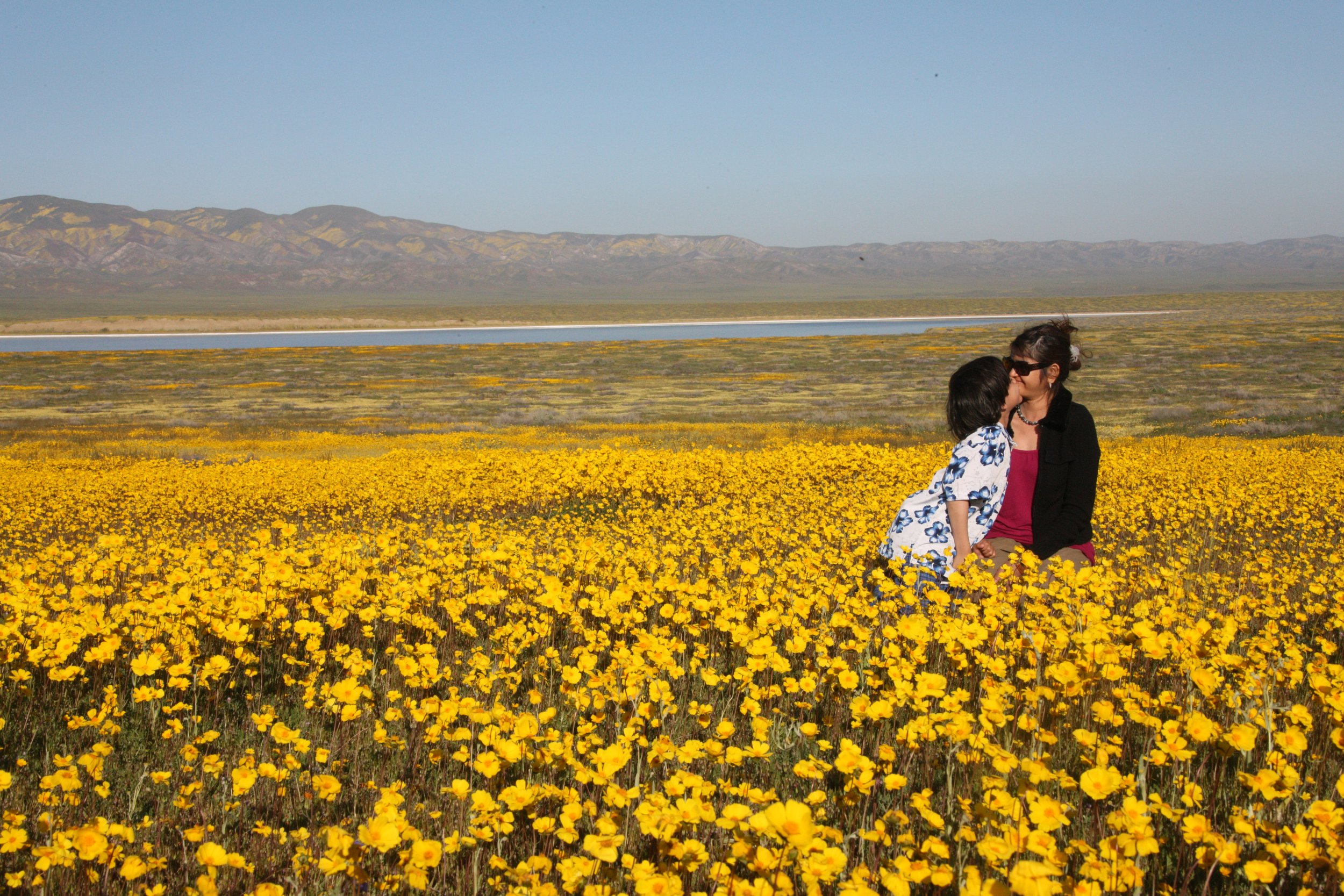 2010-4-6 CARRIZO PLAIN NATIONAL MONUMENT CAMPING EXPEDITION (12).JPG